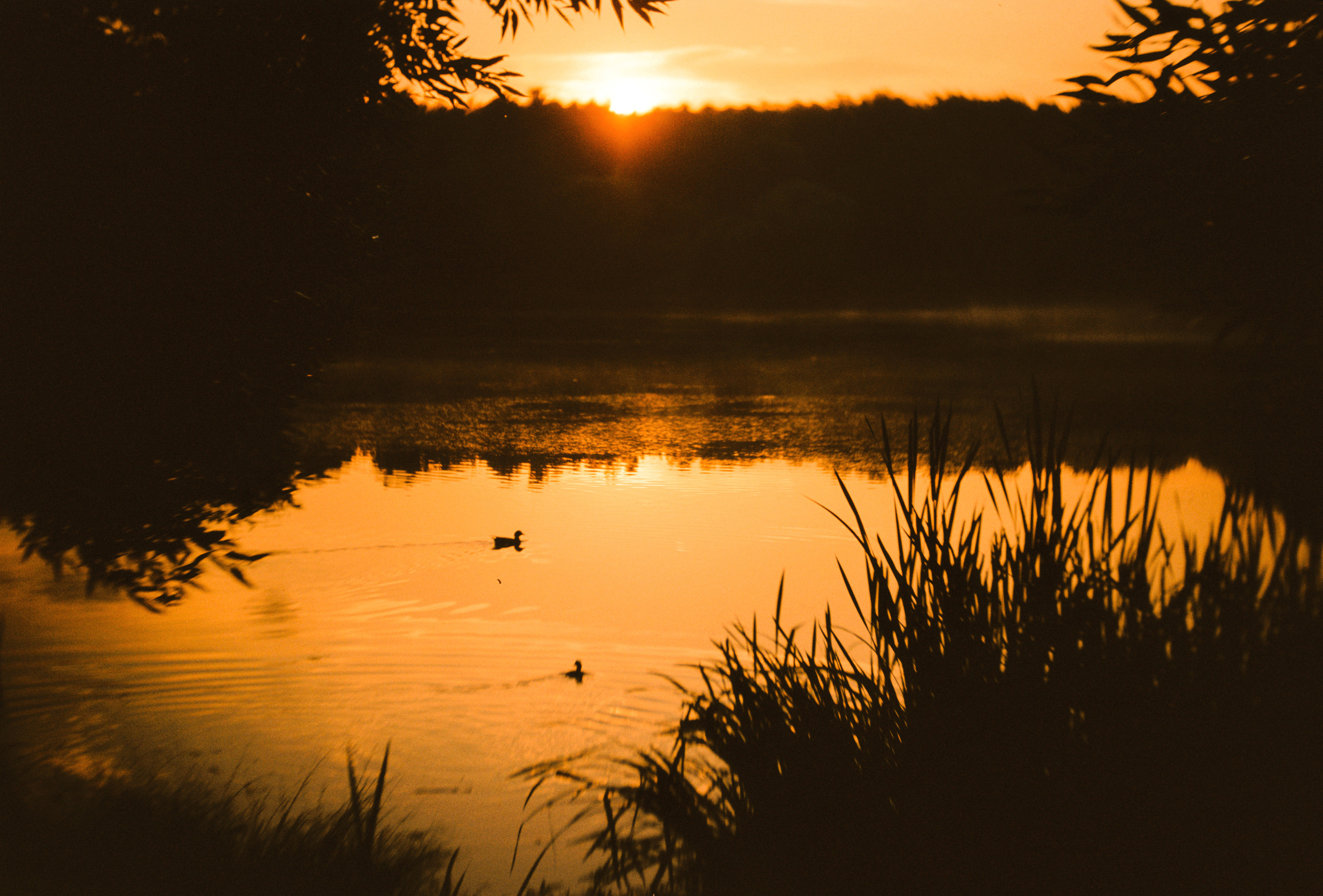 KODAK 250D (ECN-II). DOP Aleksey Seleznev