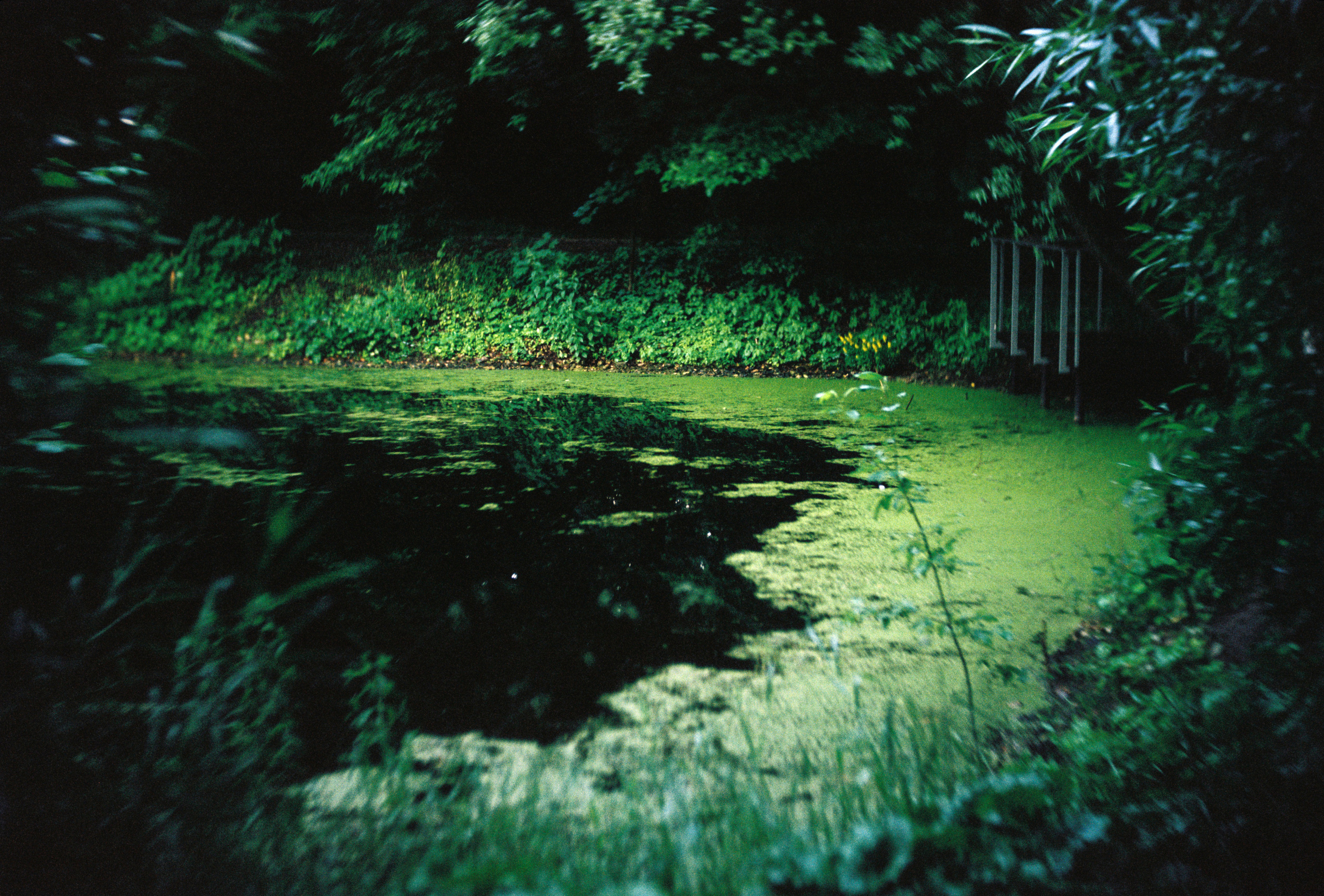 KODAK 250D (ECN-II). DOP Aleksey Seleznev