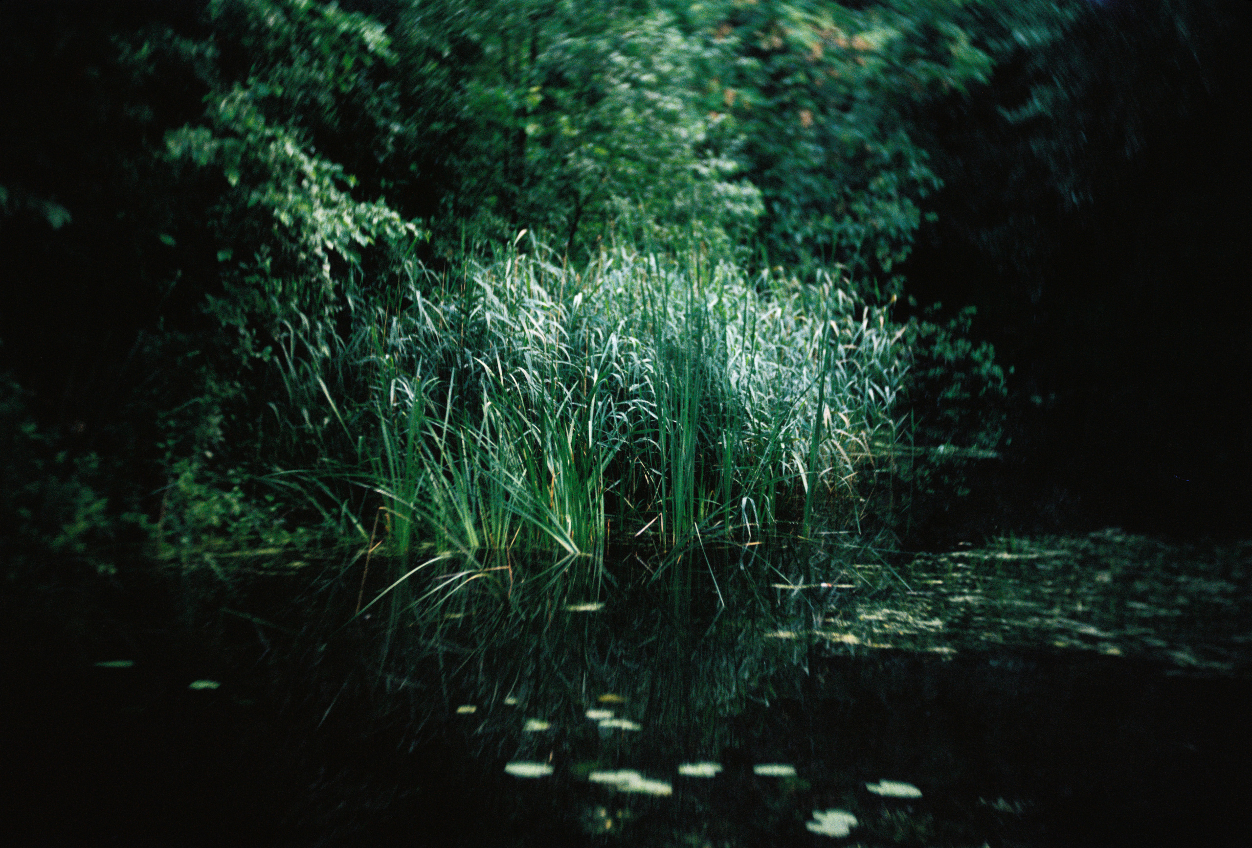 KODAK 250D (ECN-II). DOP Aleksey Seleznev