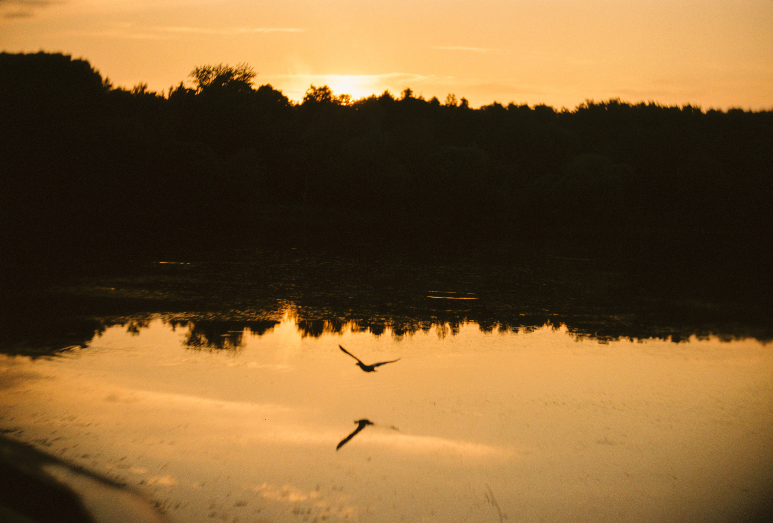 KODAK 250D (ECN-II). DOP Aleksey Seleznev