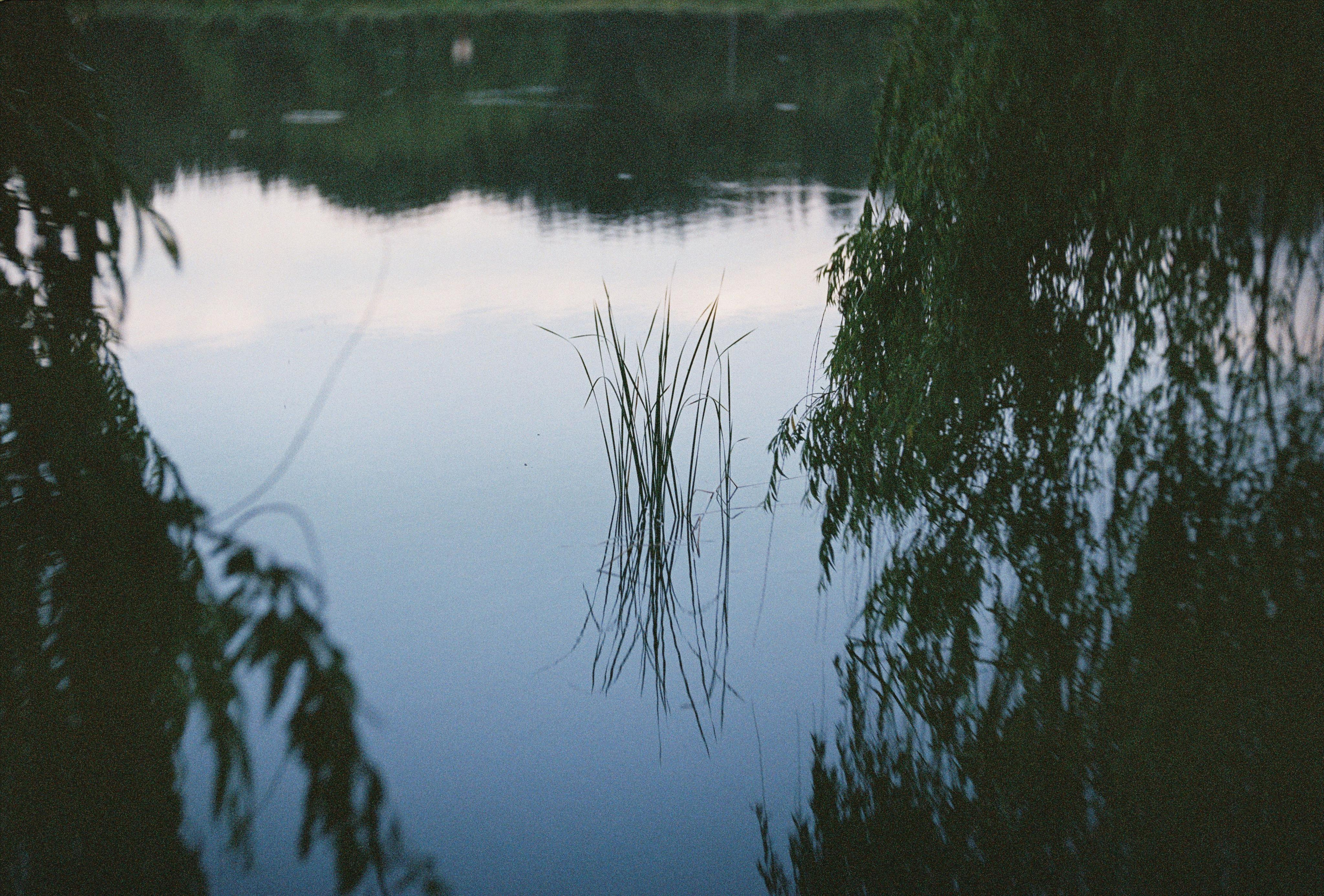 FUJI X-tra SUPERIA 400. DOP Aleksey Seleznev