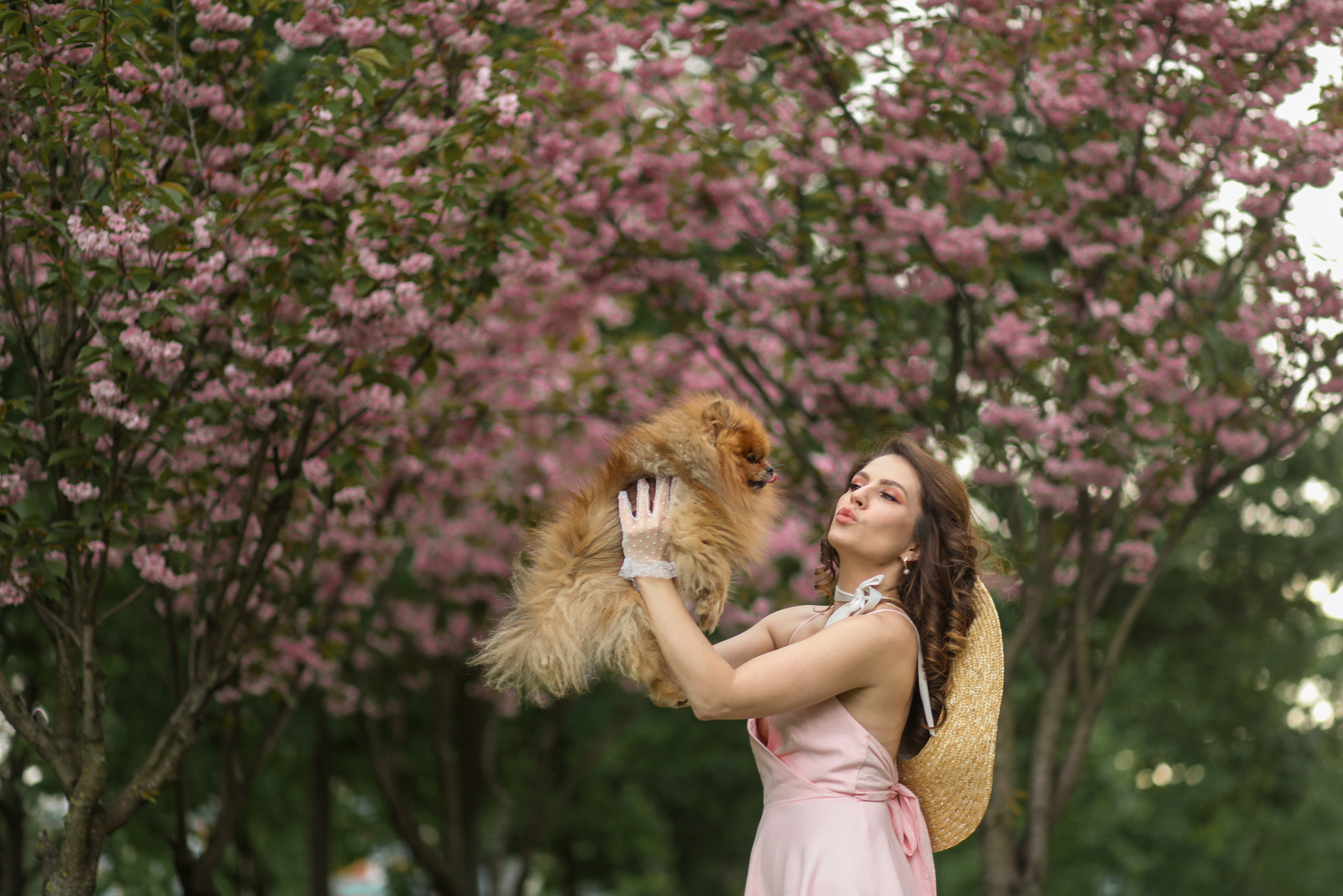Услуги. Семейный фотограф Наталия Смирнова