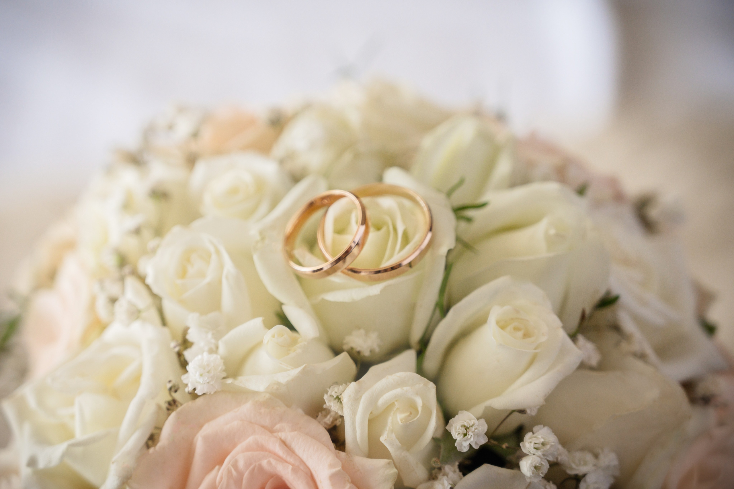 Услуги и прайс. Свадебный фотограф и видеограф в городе Армавир Katerina Arts