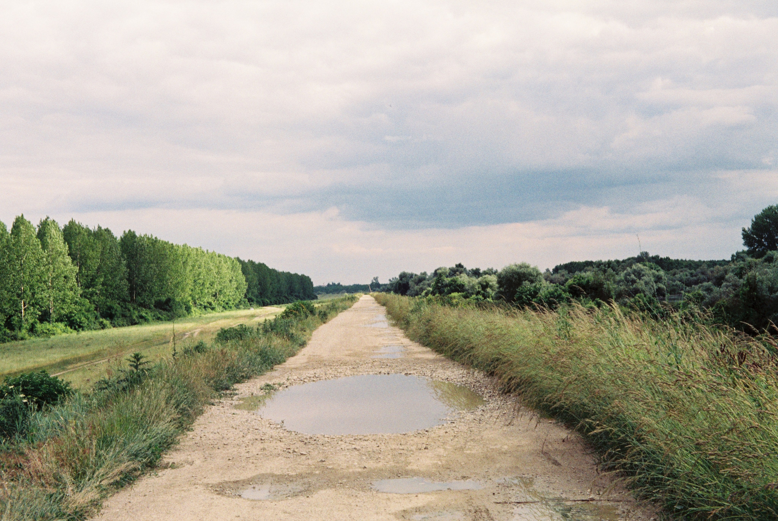 Наталия Бабинцева — ВЫДЕЛЕННАЯ ТЕРРИТОРИЯ: прогулки с N
