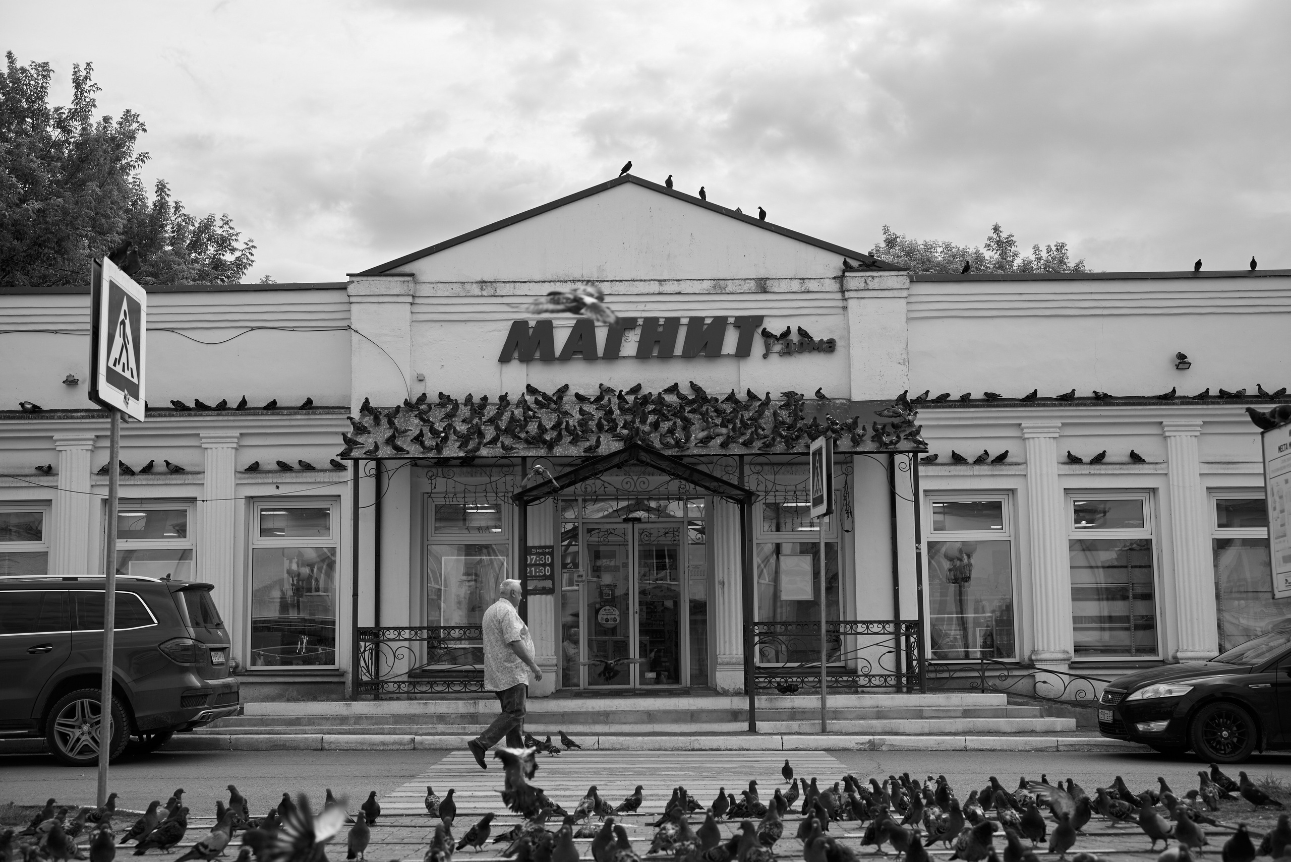 Даниил Хайцеэр Янович 
