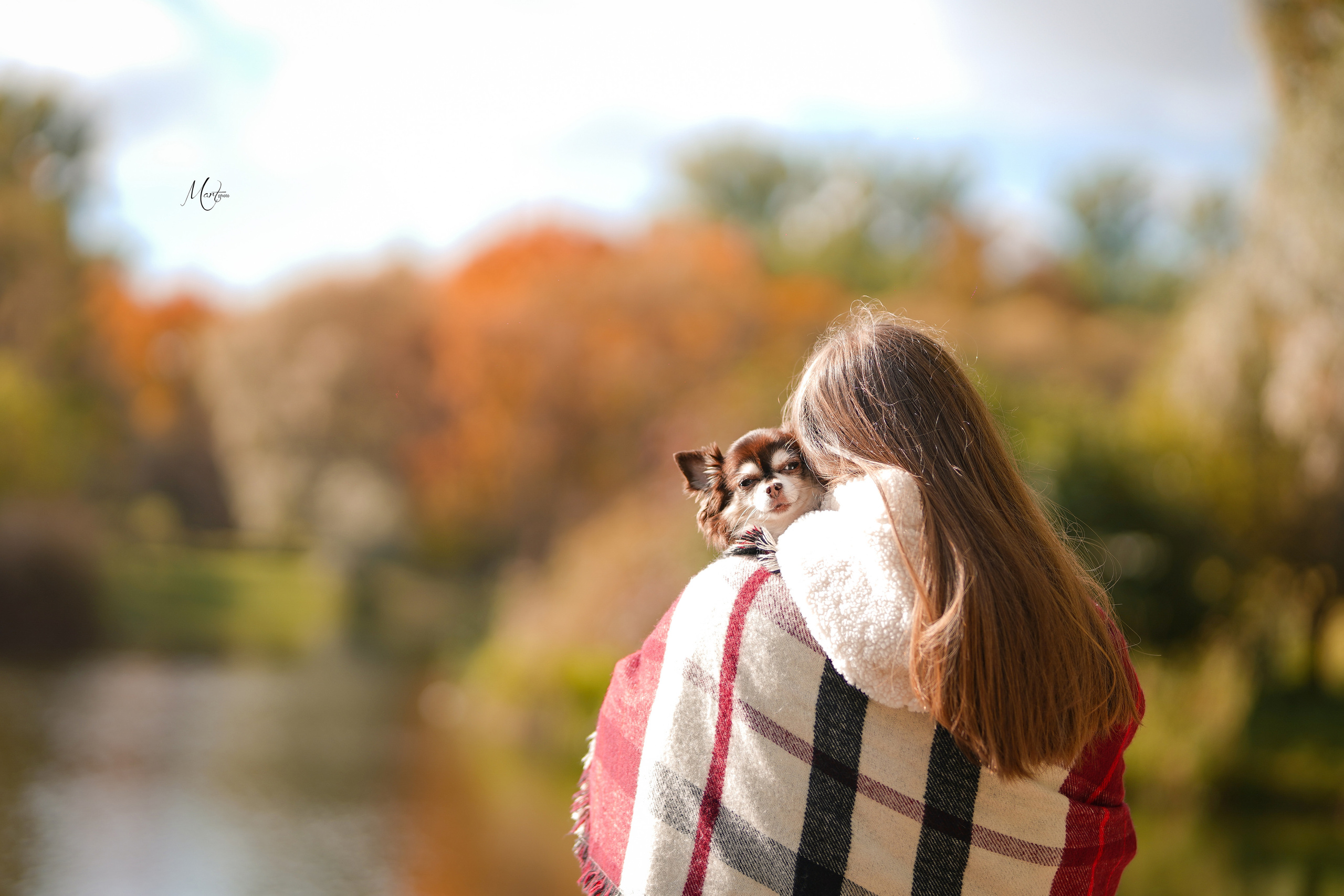 Услуги. Фотограф-анималист в Санкт-Петербурге Яна Мартынова