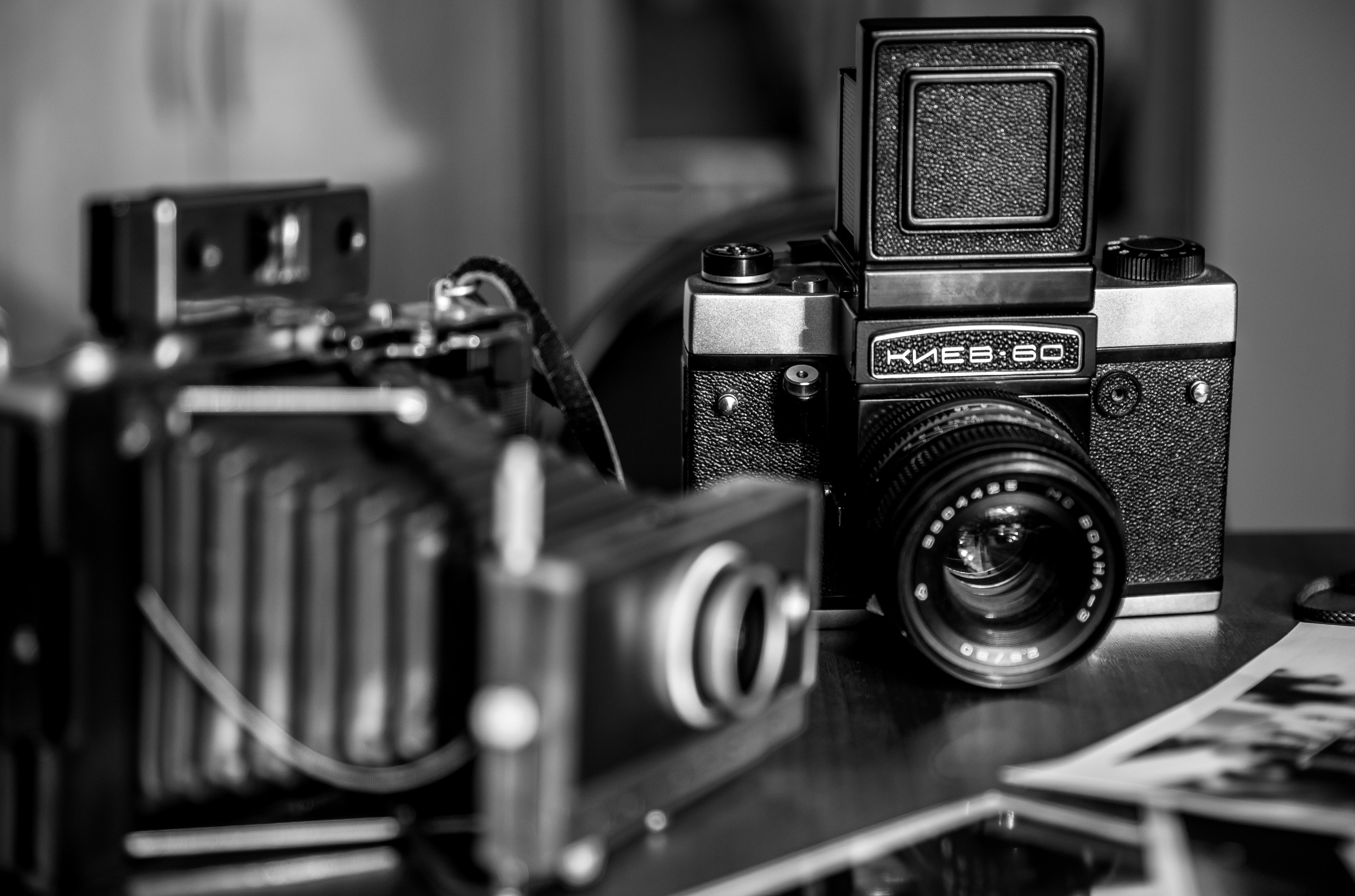 Андрей. Белякова Кристина — репортажный и портретный фотограф в Твери