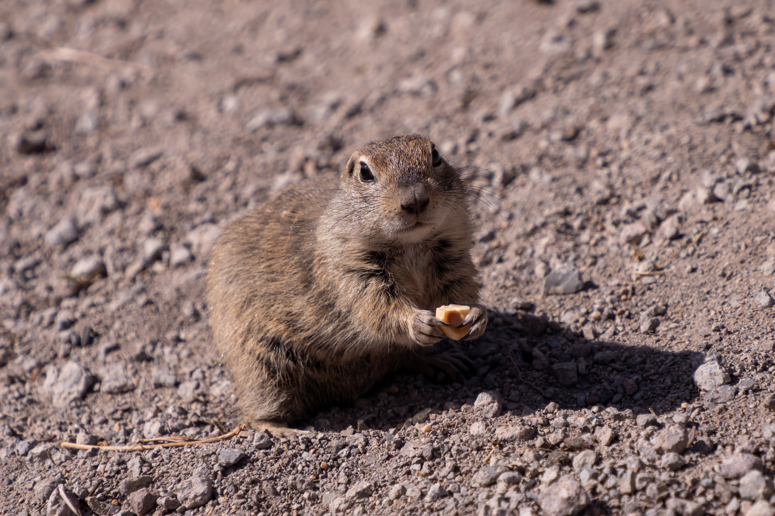Фотопутешествие в Кабардино-Балкарию. Фотограф Александр Головин