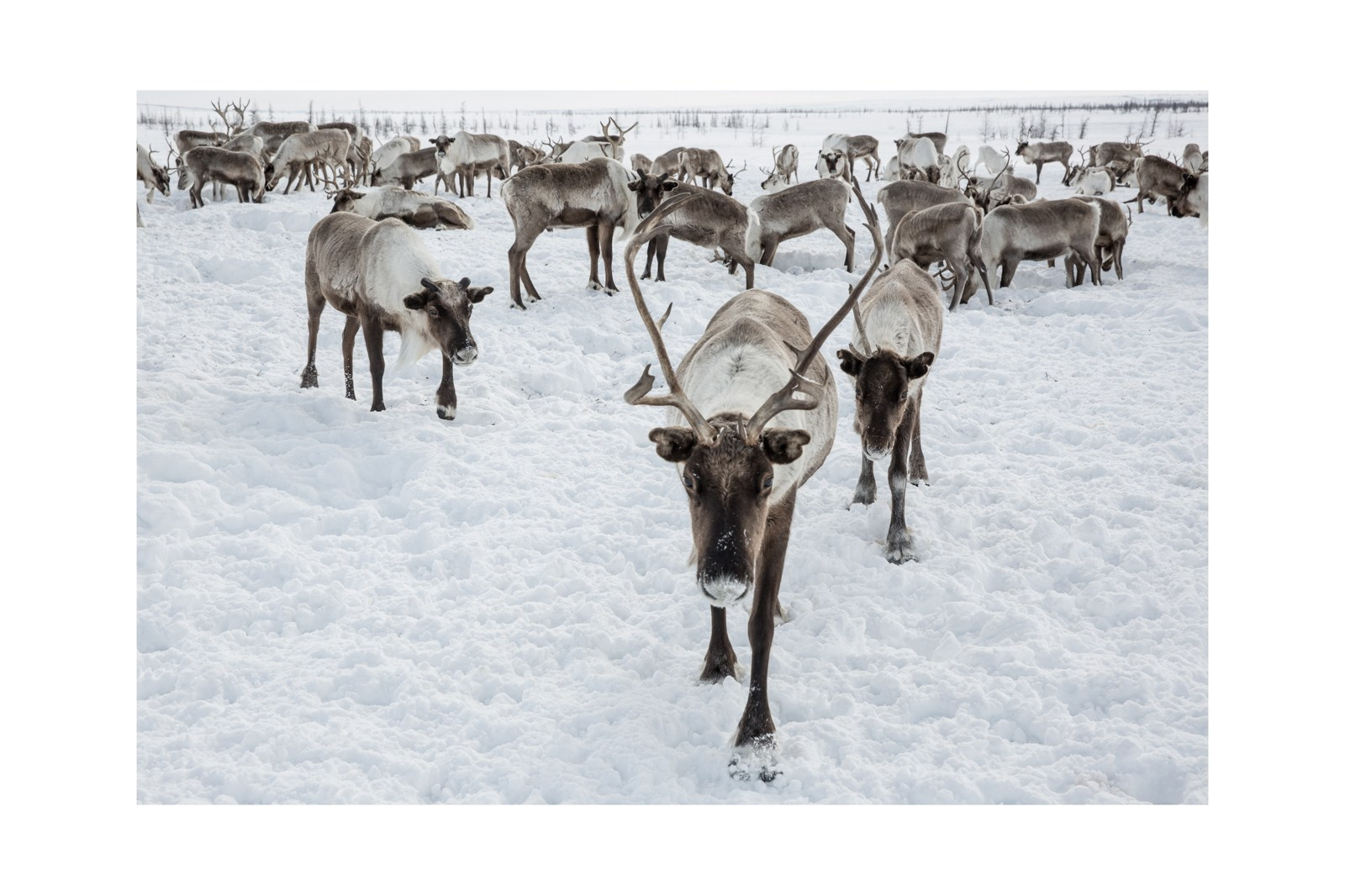 Купить фотографии. Yulia Nevskaya, documentary photographer and photojournalist