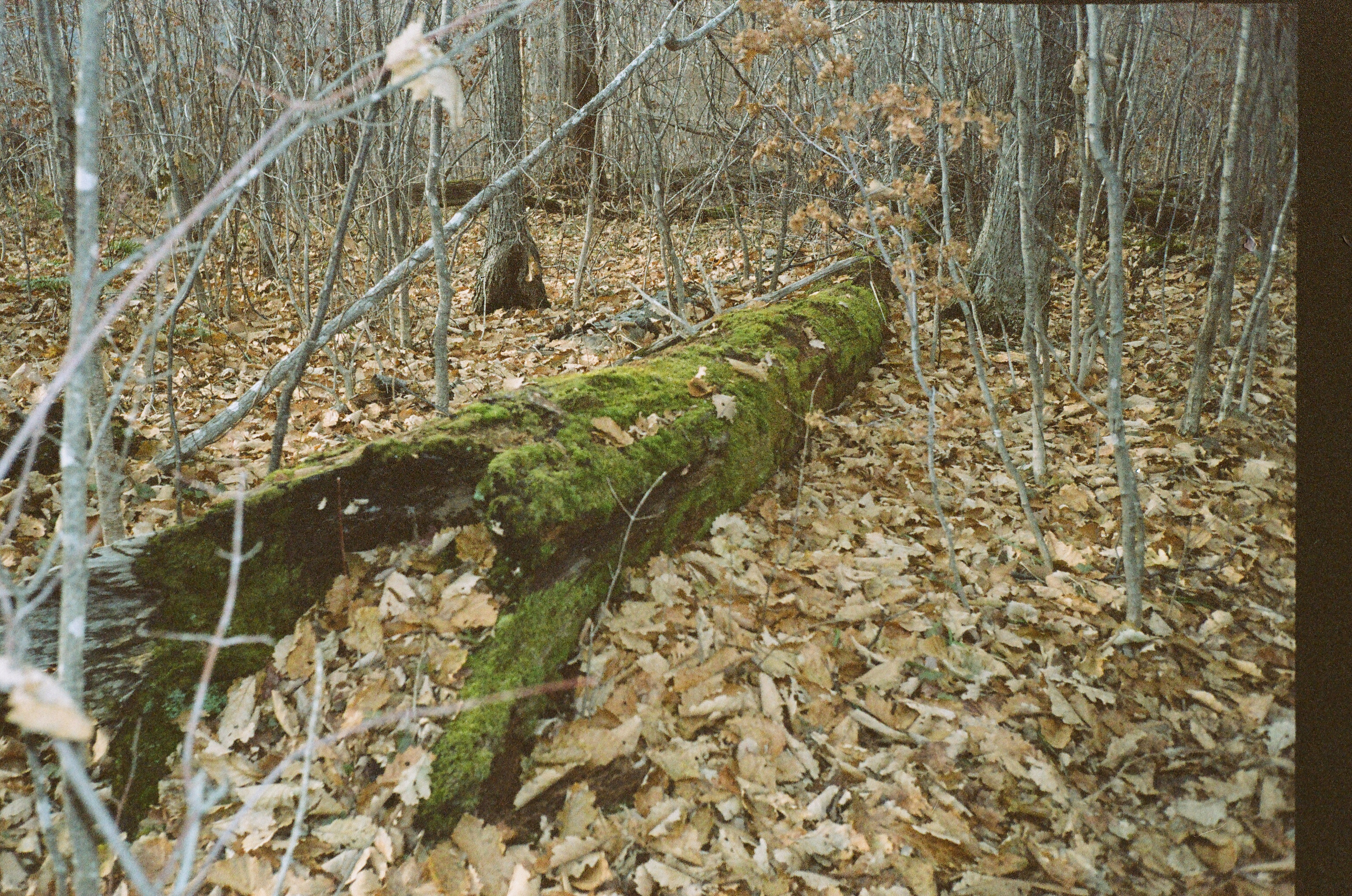 Приморские горы на пленку 