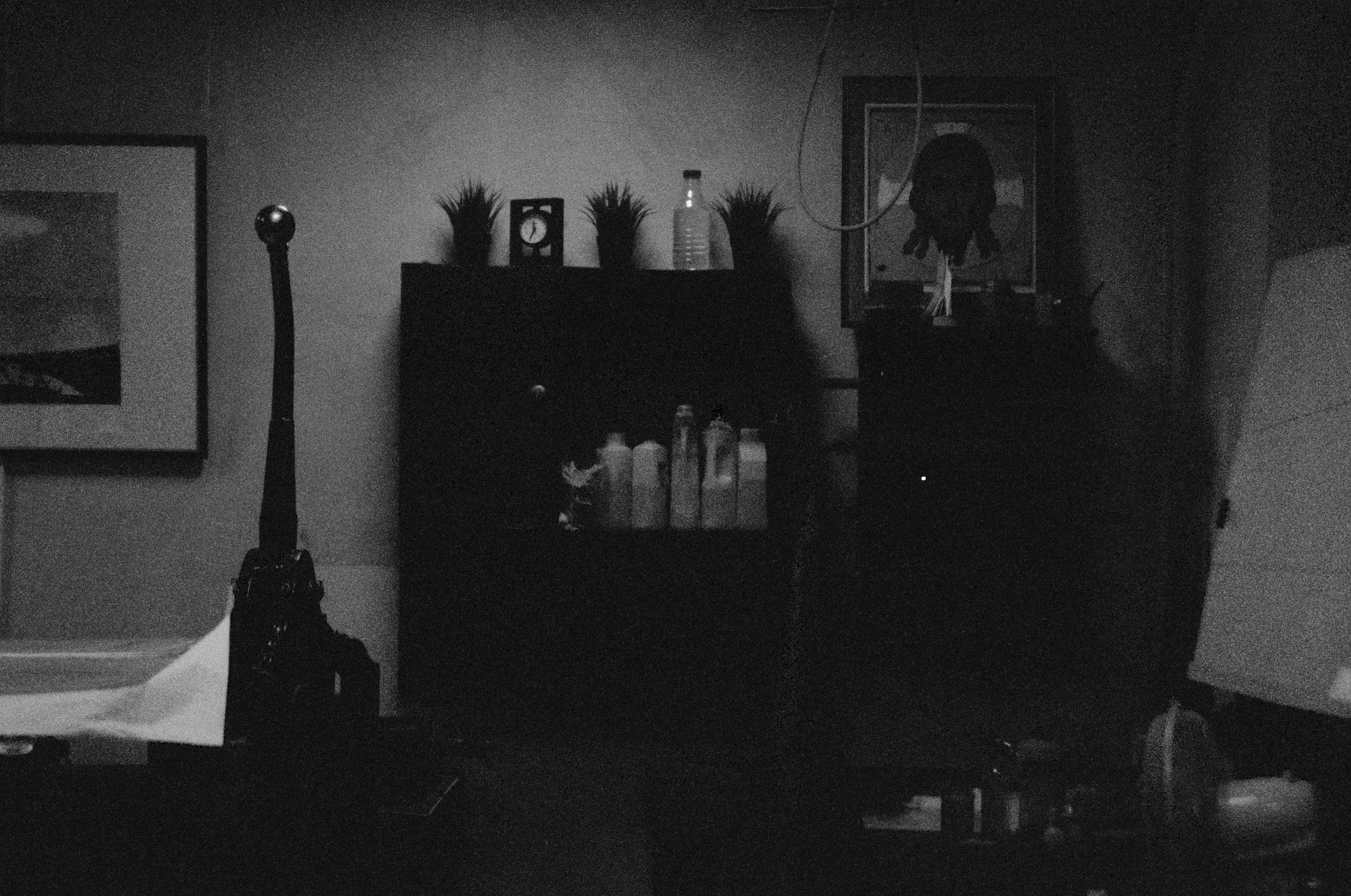 Анна Канфер. Плёночный фотограф Юлия Андрейченко в Москве