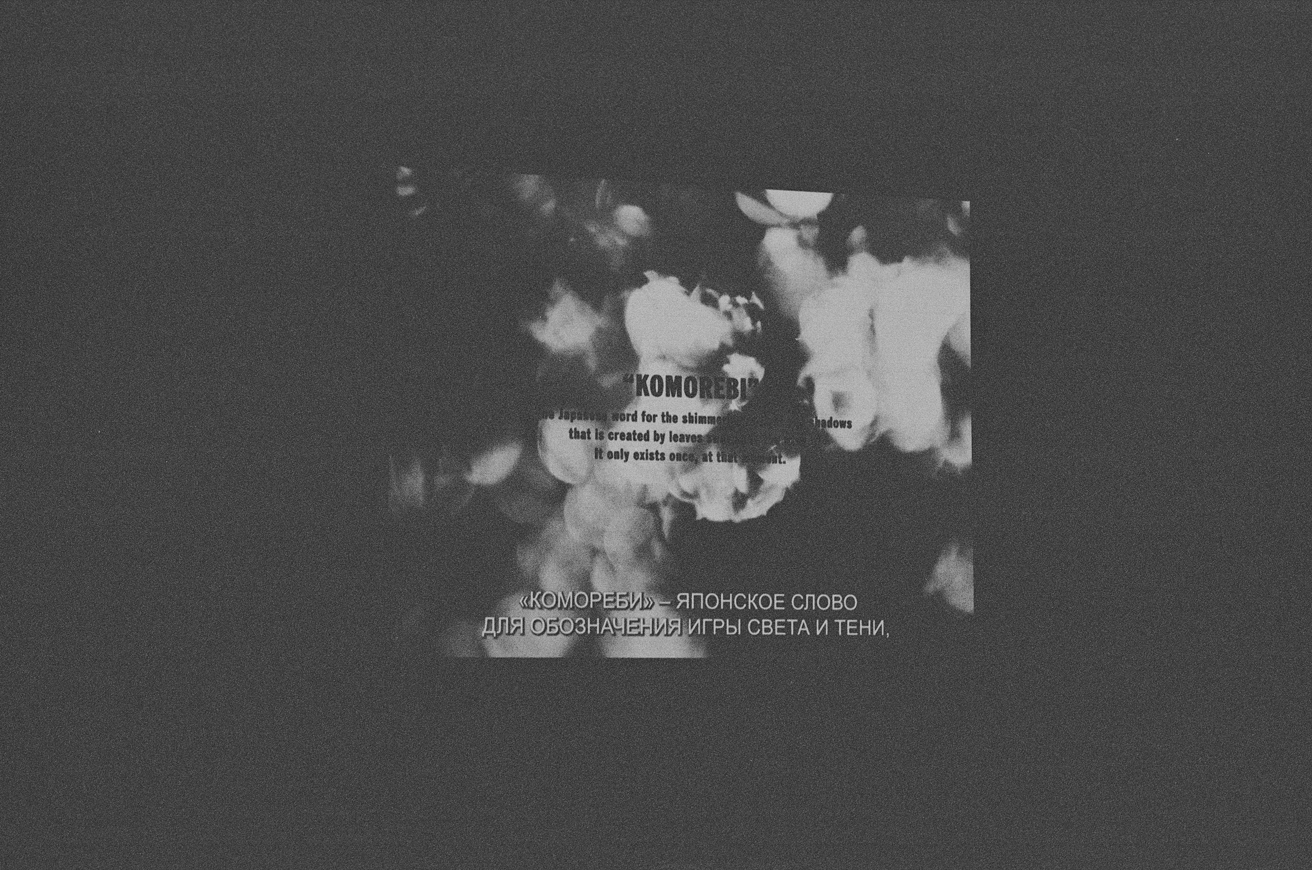 Сладкий август. Фотограф · barwarm35mm · Москва