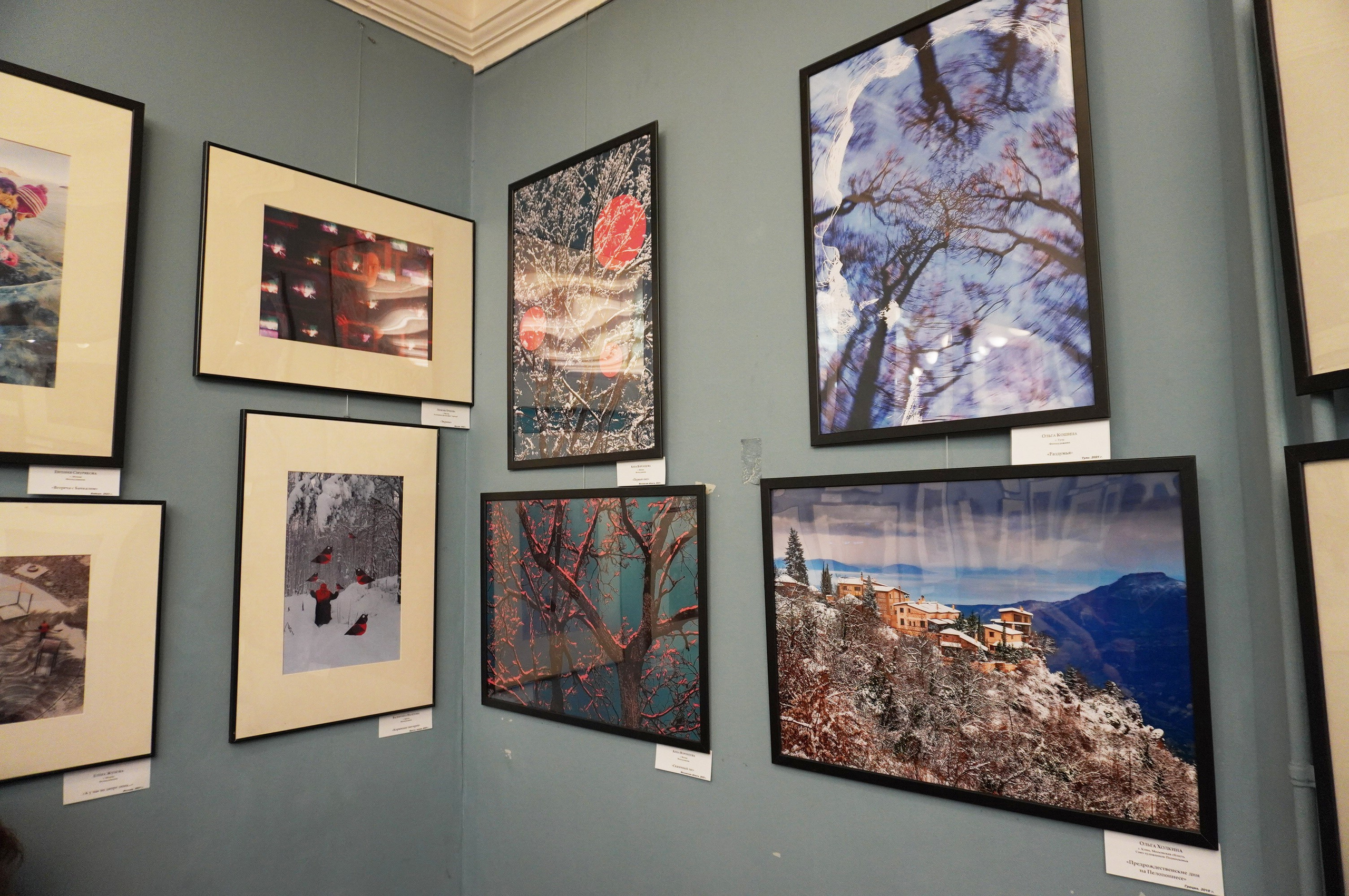 Выставка Зима перезагрузка. Дударева Наталия фотограф Москва