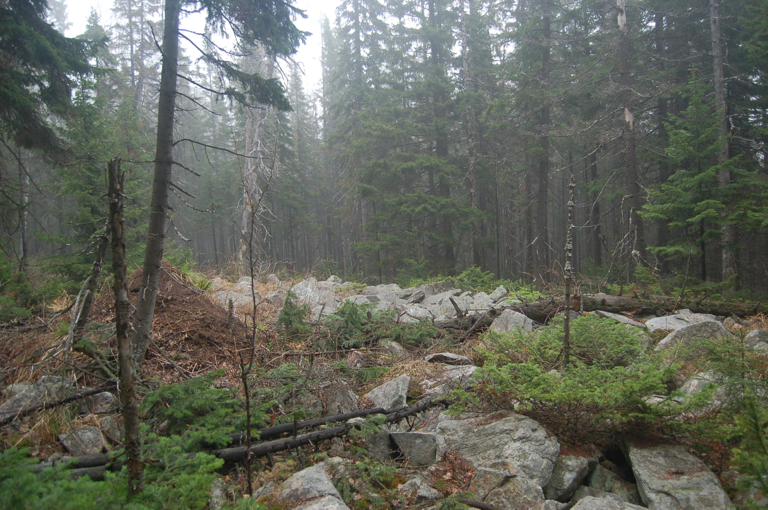 Гора Юрма. Фото и жизнь