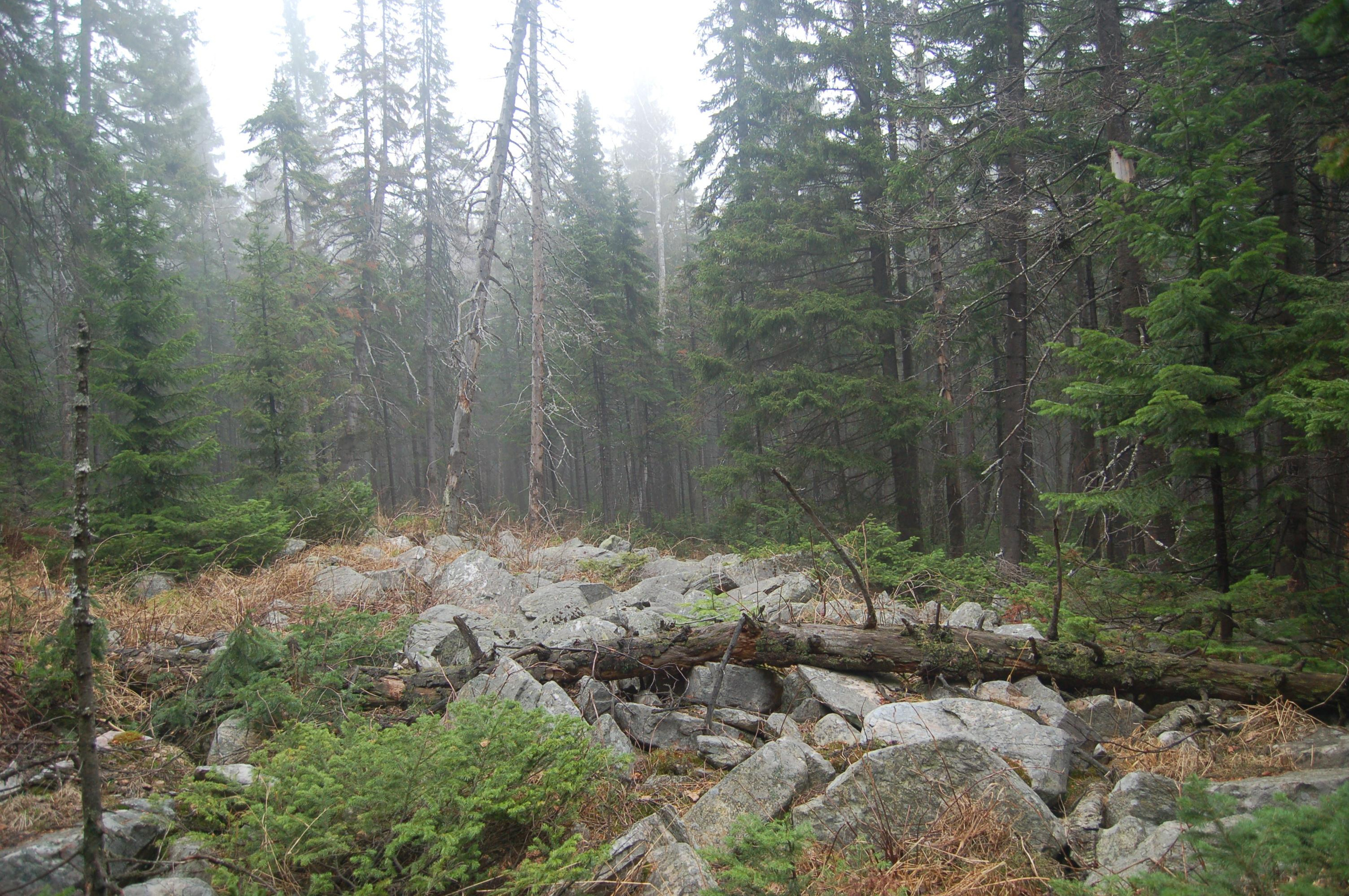 Гора Юрма. Фото и жизнь