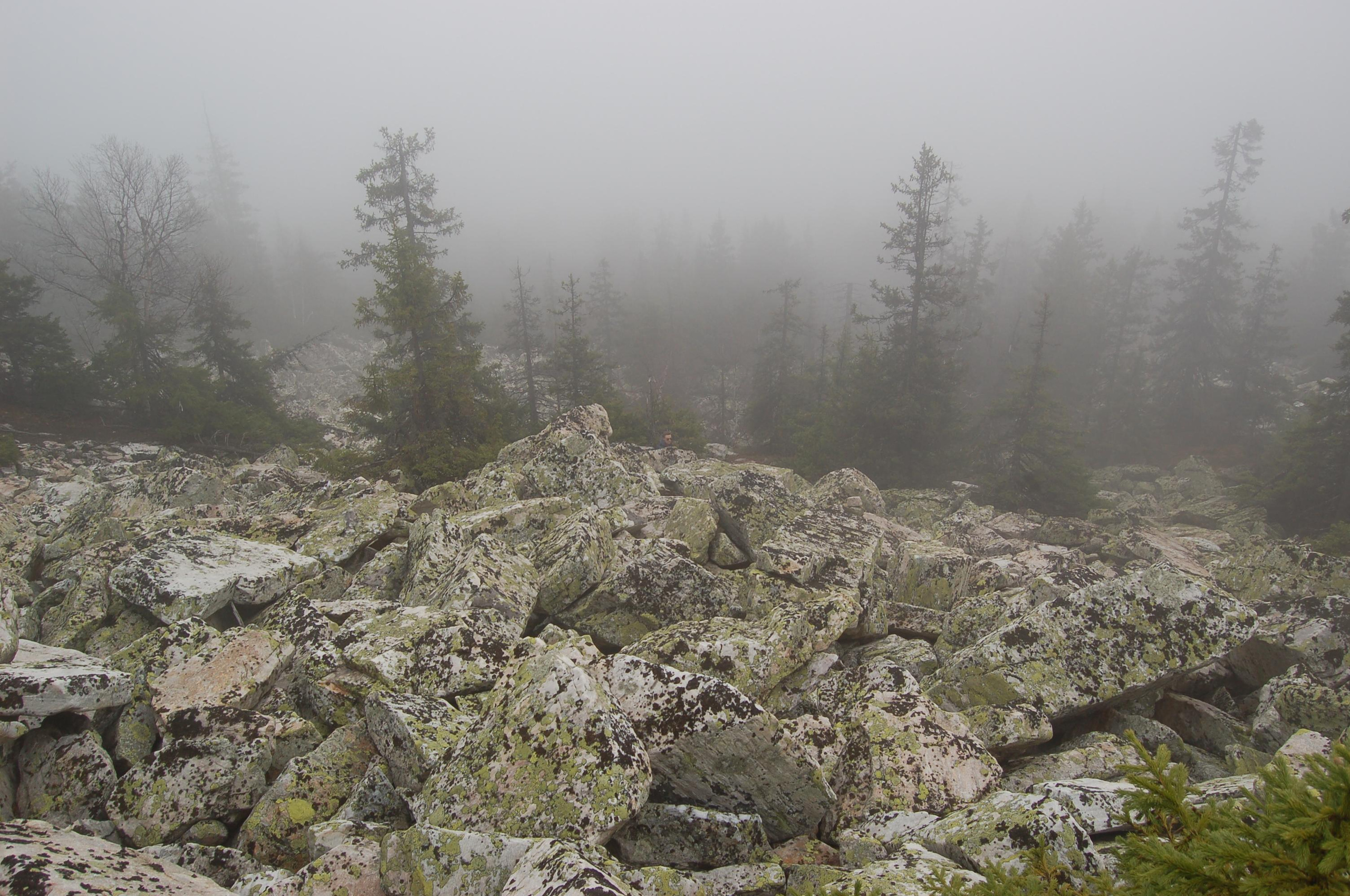 Гора Юрма. Фото и жизнь