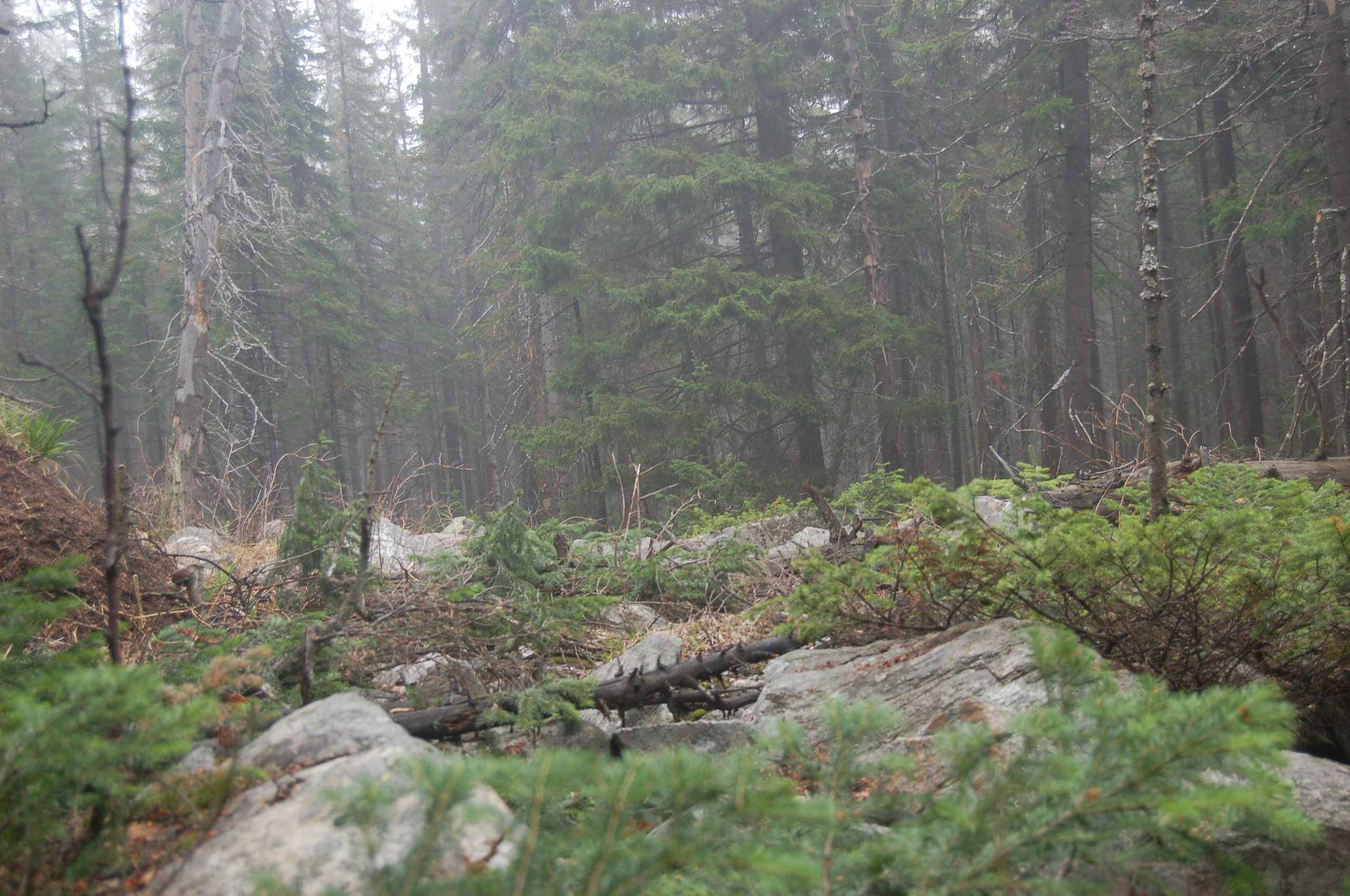 Гора Юрма. Фото и жизнь