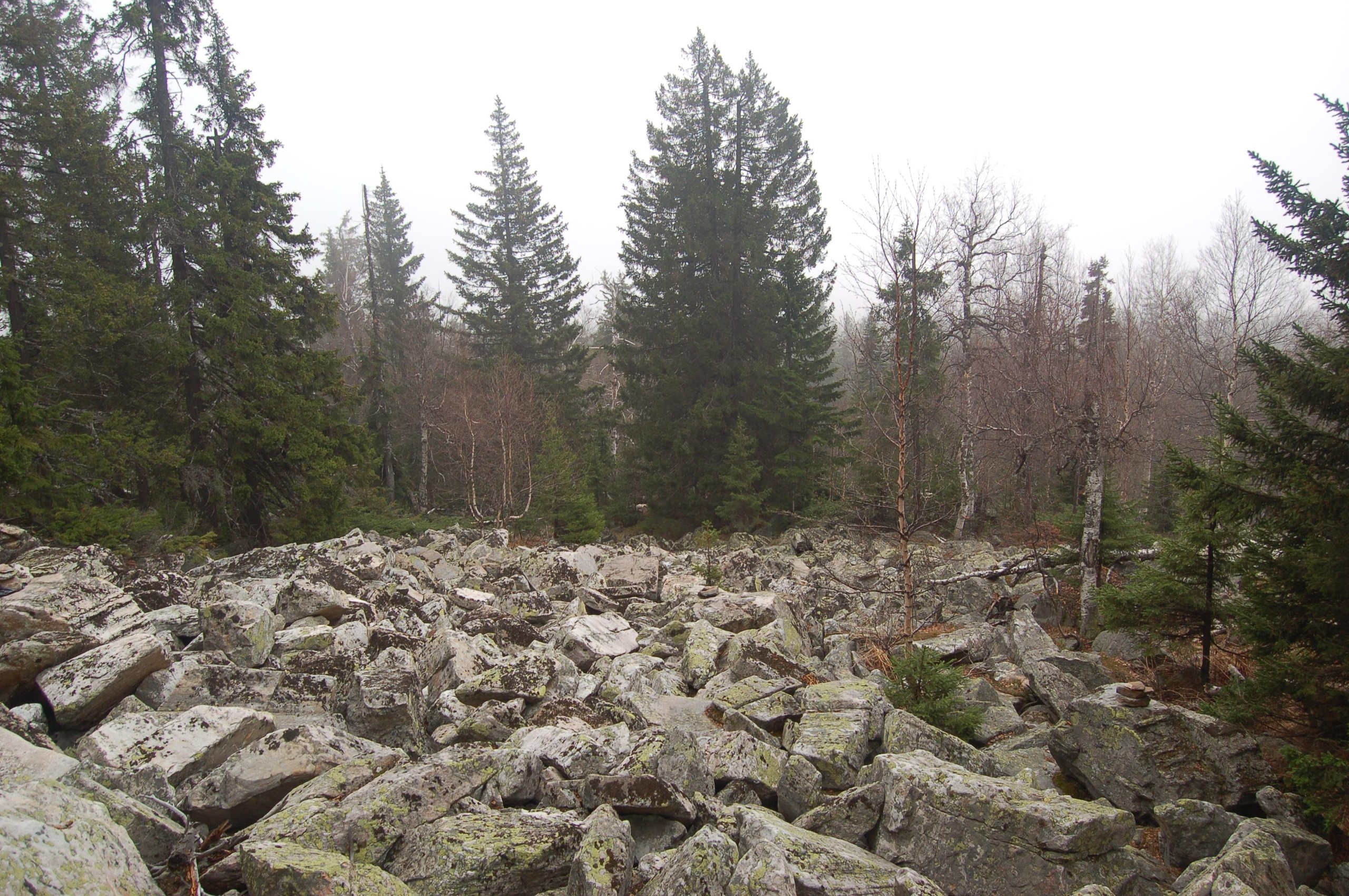 Гора Юрма. Фото и жизнь