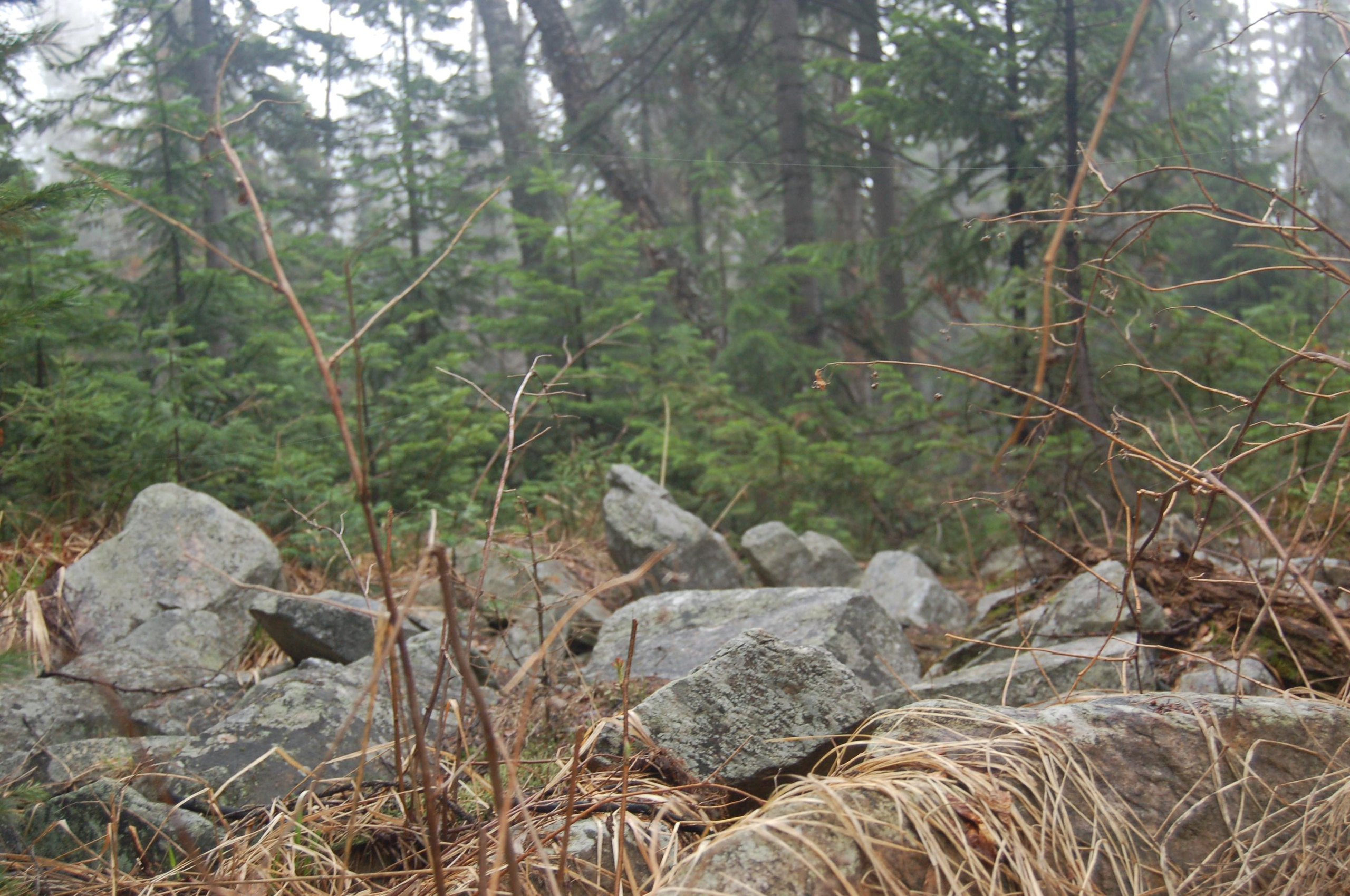 Гора Юрма. Фото и жизнь