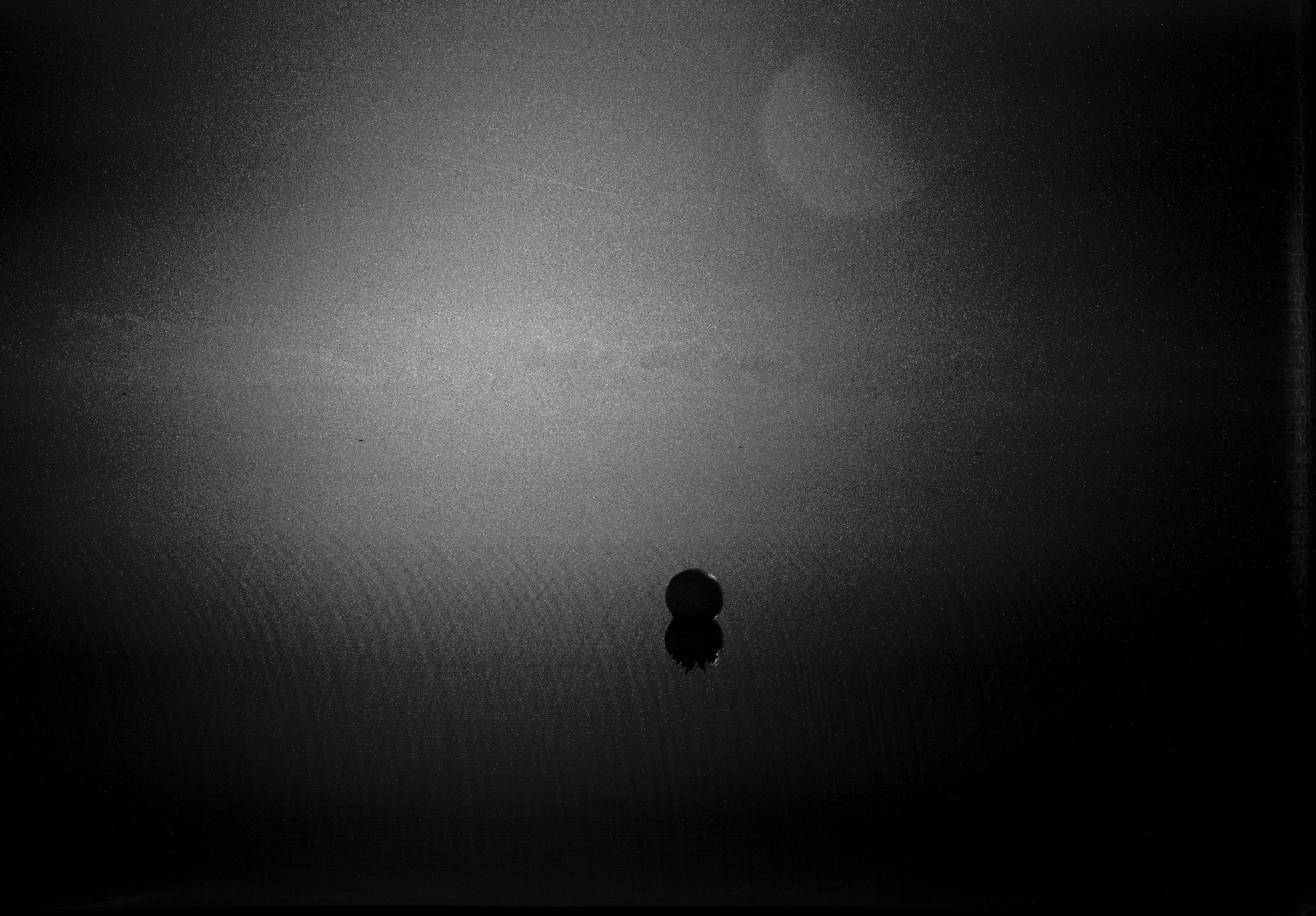 Икра Сатурна, на краю мира. Roman Hodirev is an esoteriologist, multidisciplinary artist, photographer and musician. Saint Petersburg, Riga