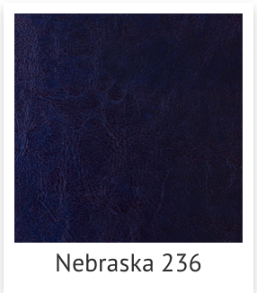 Пг, Тиснение, искуст.кожа, техн. Фотограф Ольга Молева