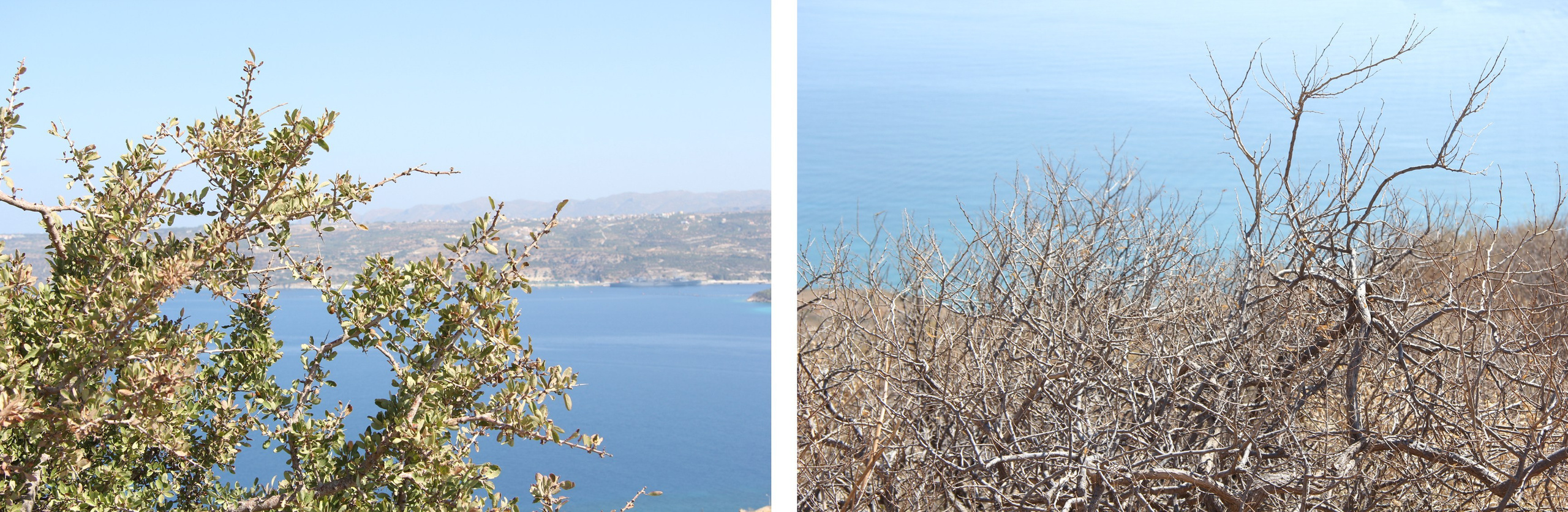 Греция (2014) — Избранные серии — Документальный фотограф Настя Сергеева