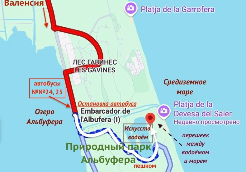 Парк Альбуфера в Валенсии (Испания). Гид и фотограф в Валенсии Новиков Михаил