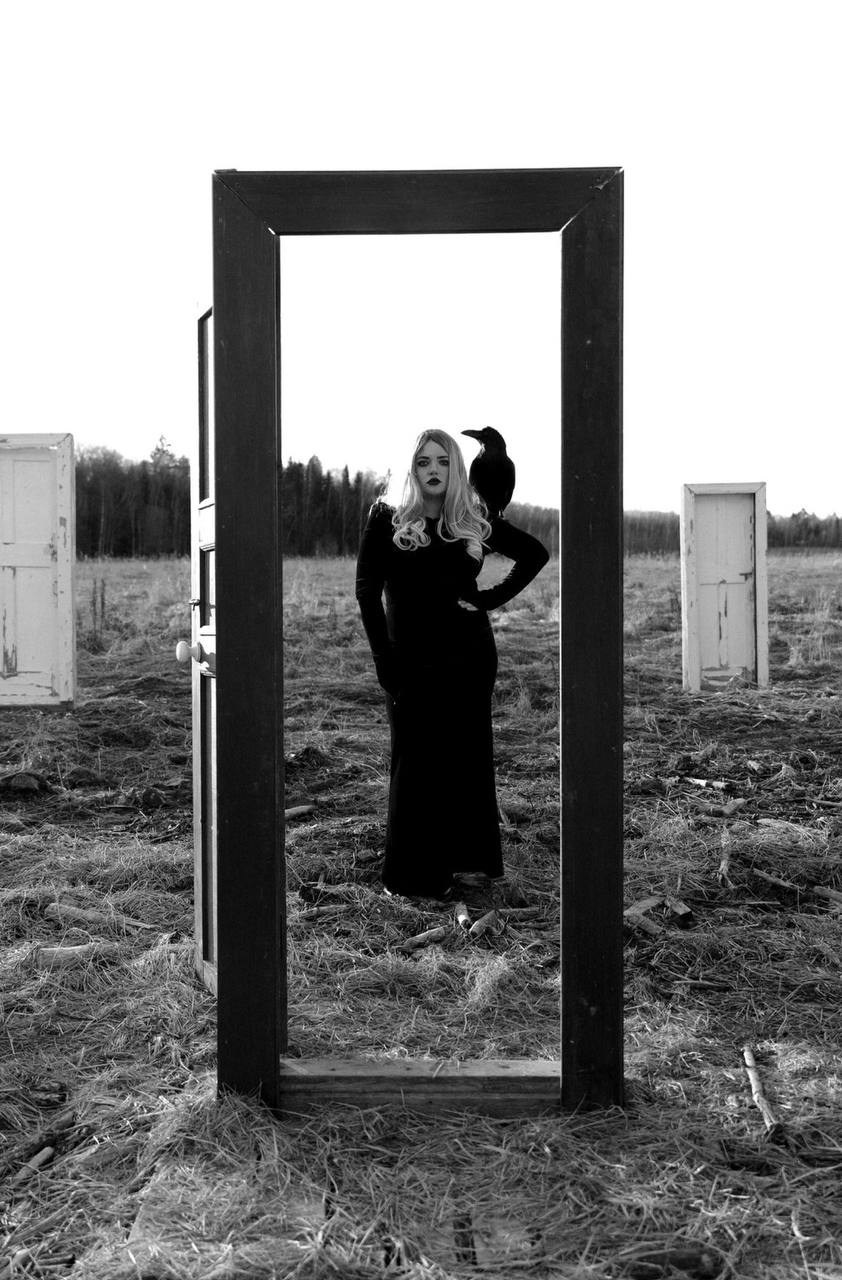 Фото и видеосъемка с черным вороном в Москве