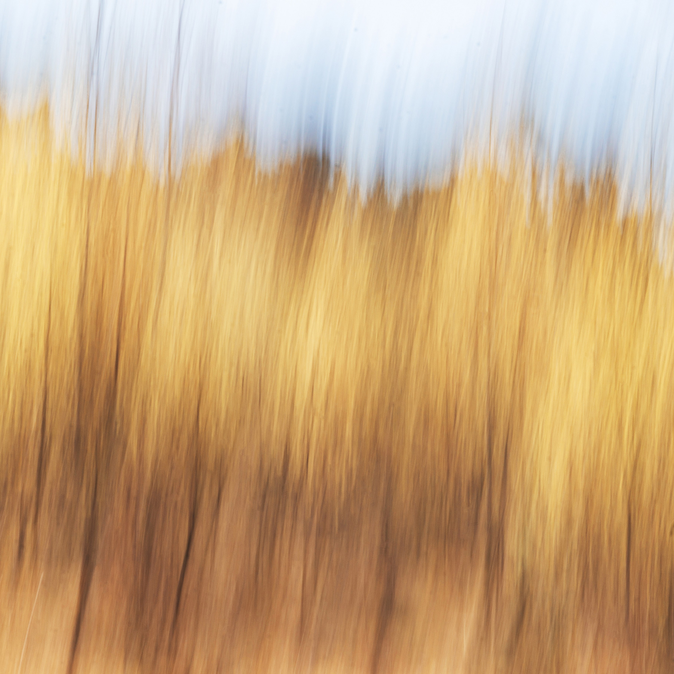 Точка равновесия. Арт-фотография, терапевтическая фотография в Москве. Фотограф Анна Ермолова