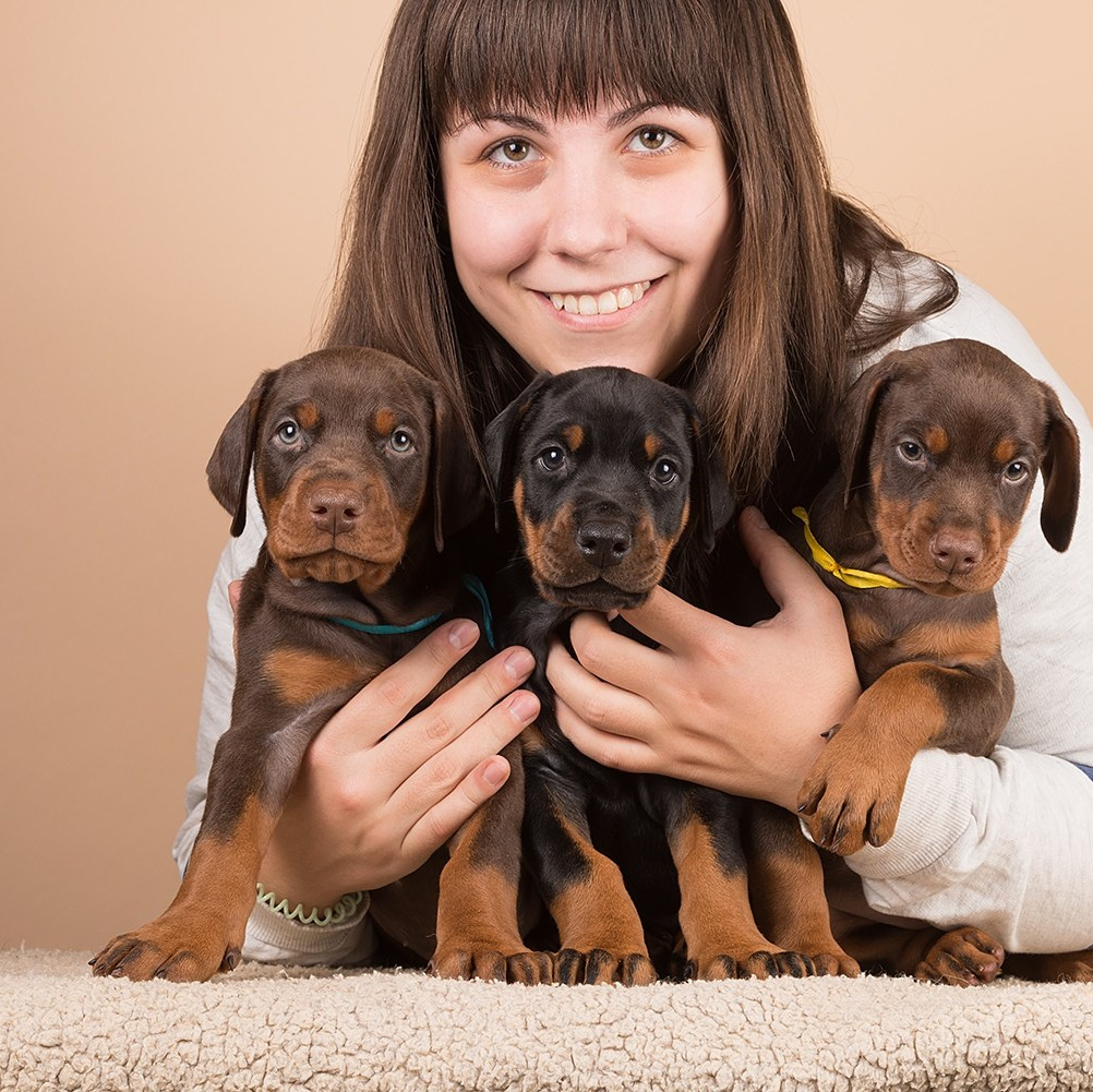 Контакты фотографа-анималиста Титовой Анны TitAnya. Фотограф собак, фотограф-анималист Аня Титова (Titanya). Москва