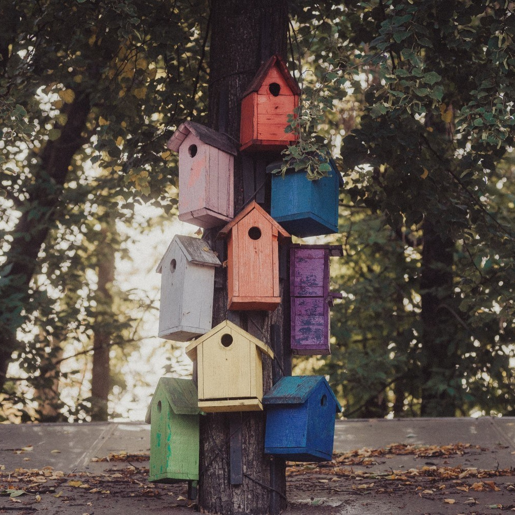 Документальный фотограф Илья Тихановский