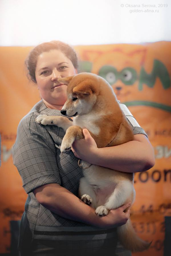 2019. SHIOMARU Shiba and Akita Inu Kennel
