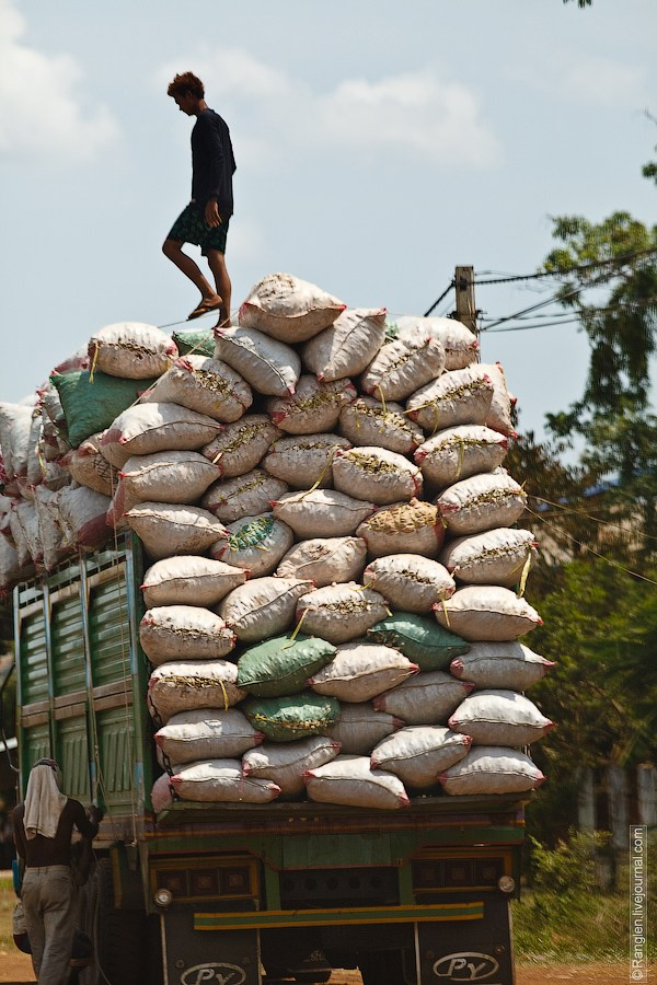 Камбоджа. Фотограф Иван Губанов
