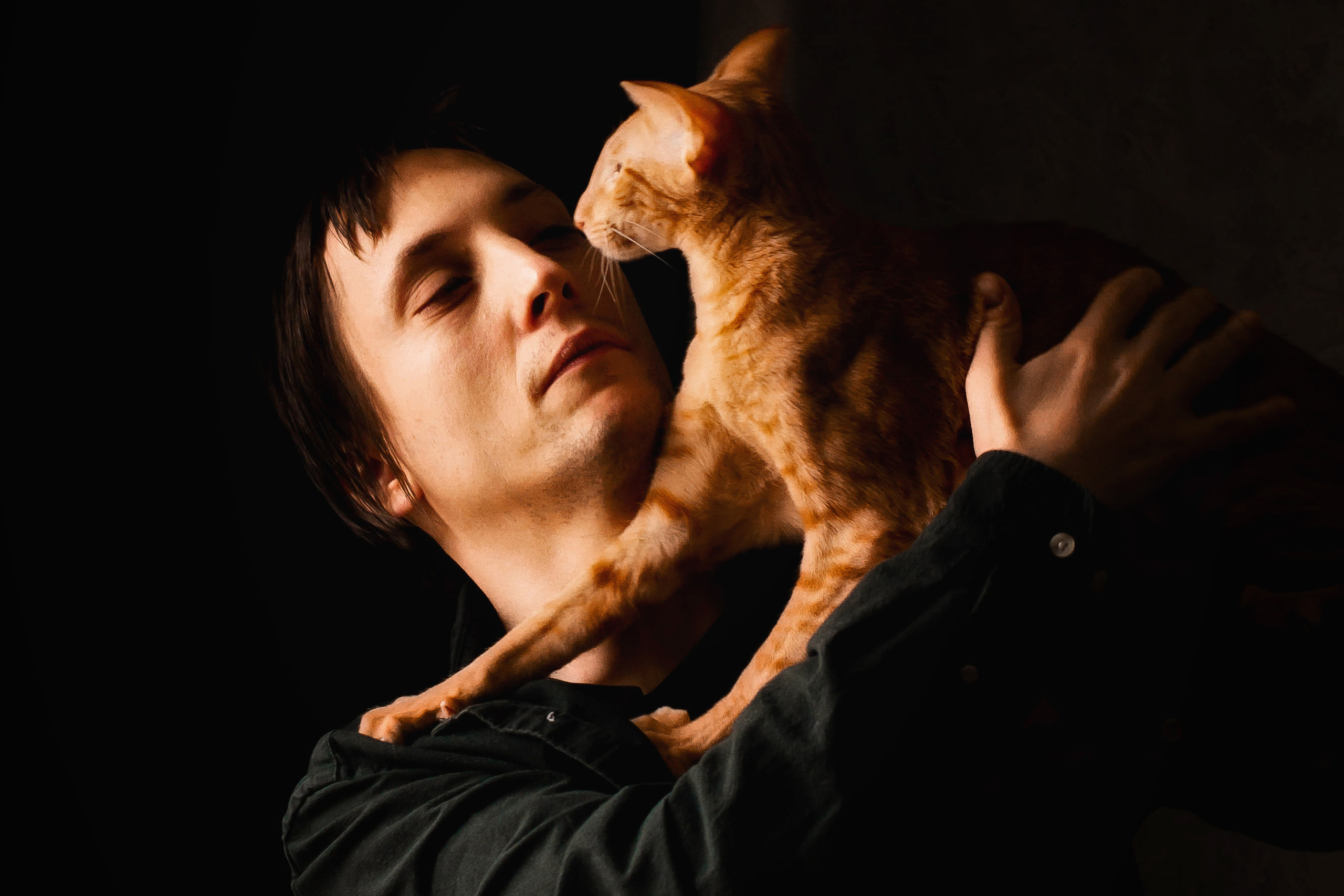 Стоимость фотосъемки кошки. Фотограф-анималист Юлия Зубкова