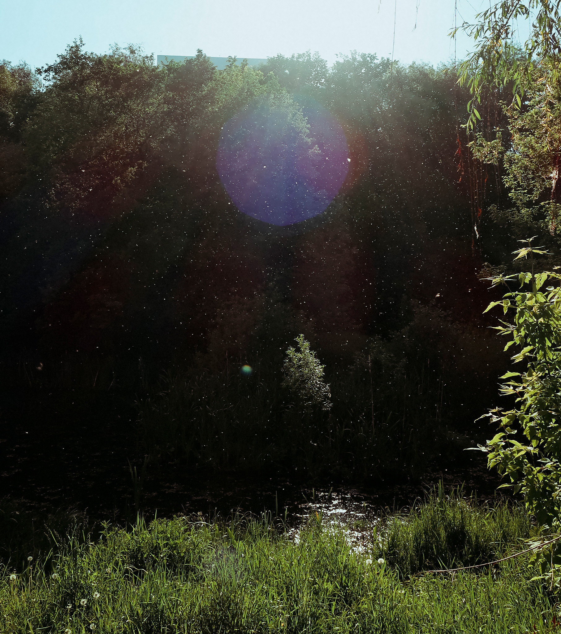Фотокладовка ТОП-20. Проект «Фотокладовка»: блог уличной фотографии в формате street photo