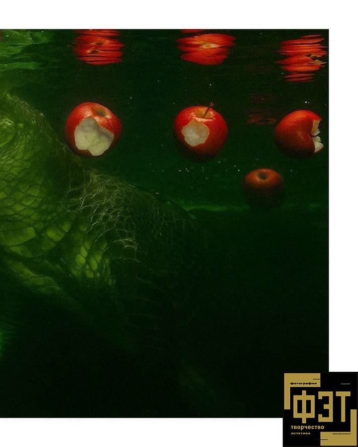 ФЭТ: Фотография Творчество Эстетика
