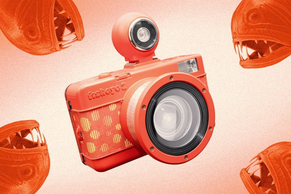 Компания Lomography добавила оранжевый «Papaya Pop». Фотограф — видеограф в Москве Дмитрий Менделеев