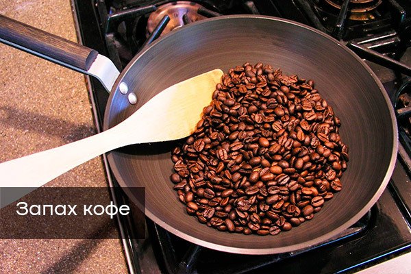 Как избавиться от неприятного запаха в доме или квартире — советы