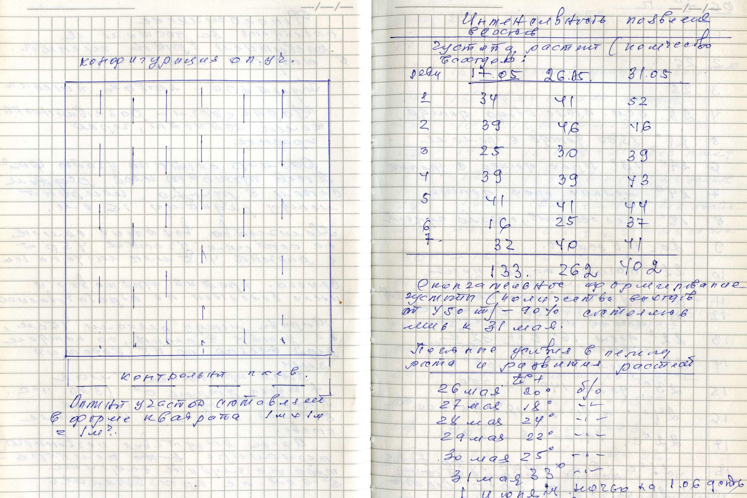 Маргарита Хатмуллина