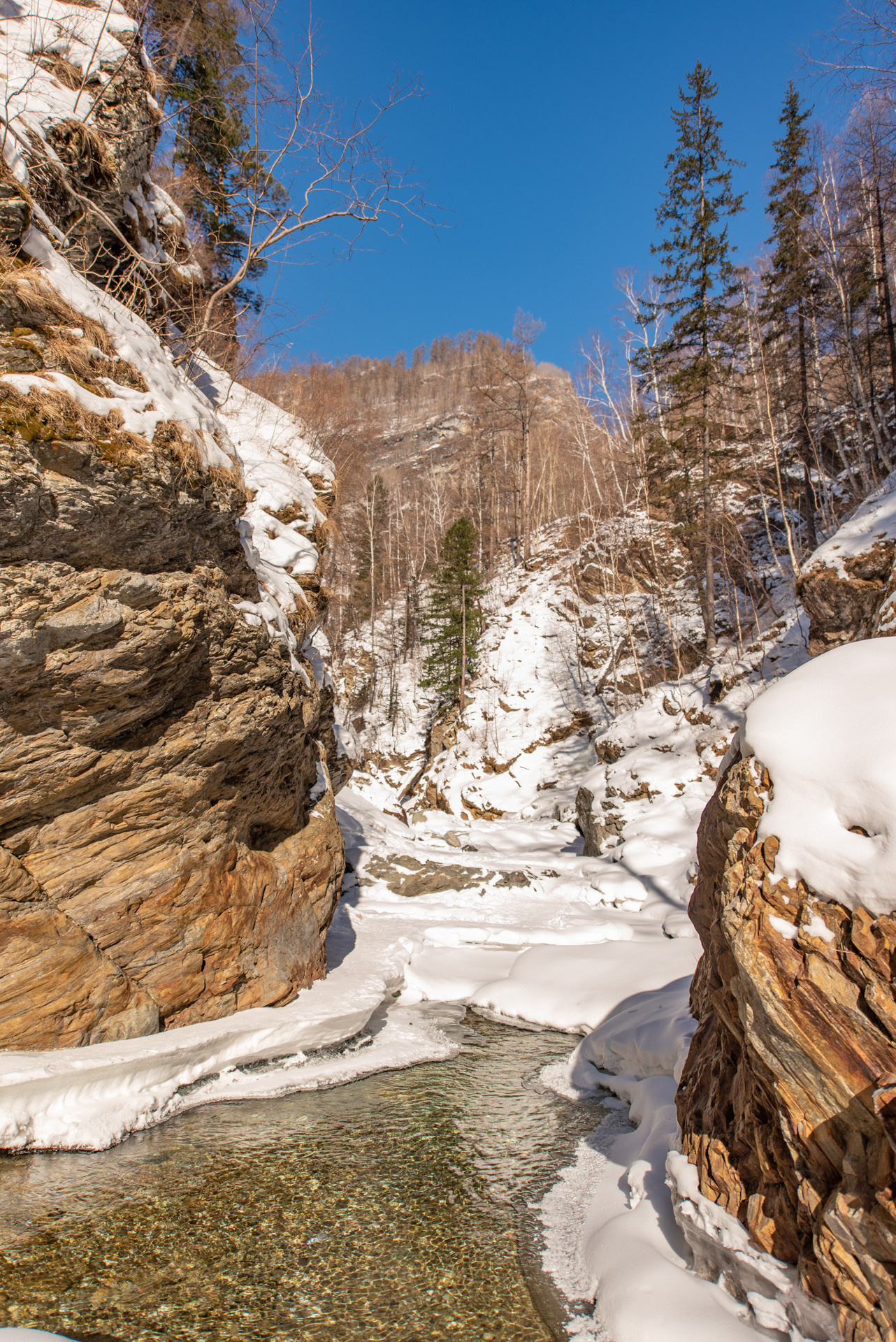 Горный курорт Аршан горный поселок минеральные воды Байкала горячие источники Байкала горячие источники Аршана горное ущелье Аршана Кынгарга мараловая ферма в тункинской долине тункинская долина тунка потухший вулкан