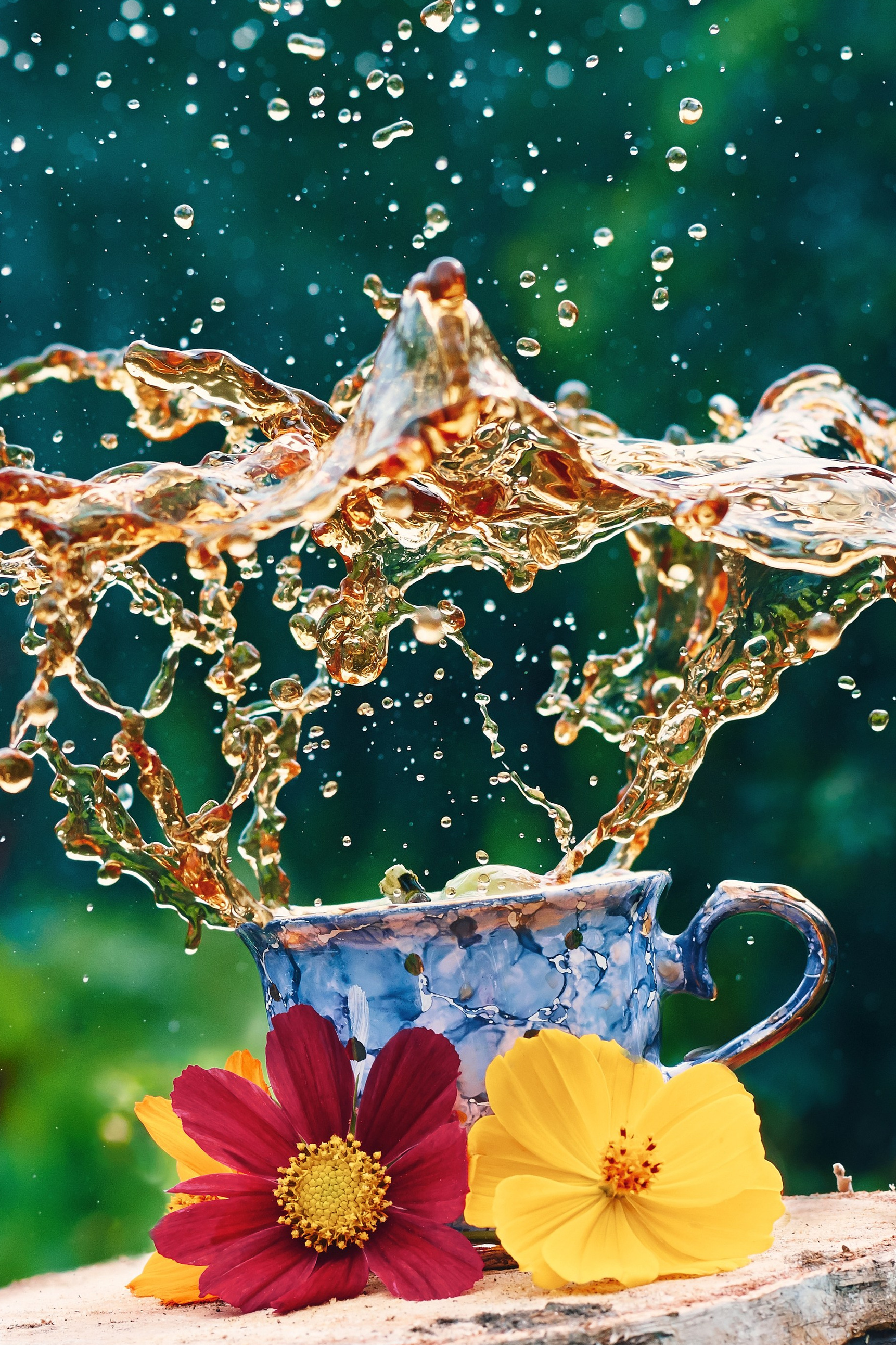 Фотограф Шибков Константин