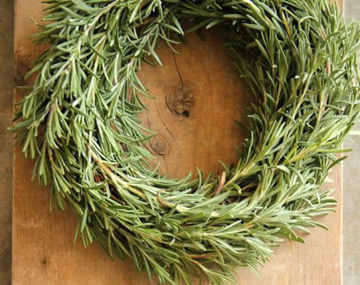 Эфирное масло розмарина. VDAO.RU — исцеляющие практики