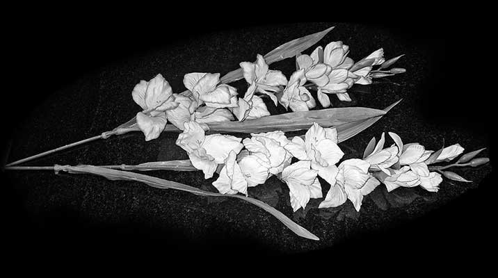 Рисунки. Granum-memorial