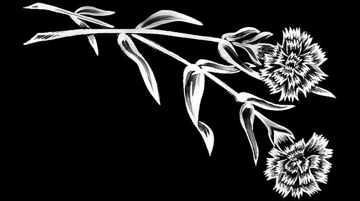 Рисунки. Granum-memorial