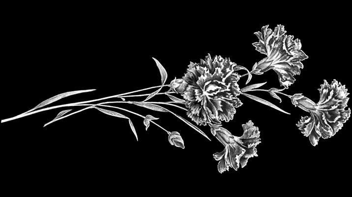 Рисунки. Granum-memorial