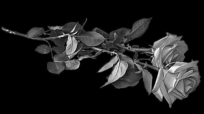 Рисунки. Granum-memorial