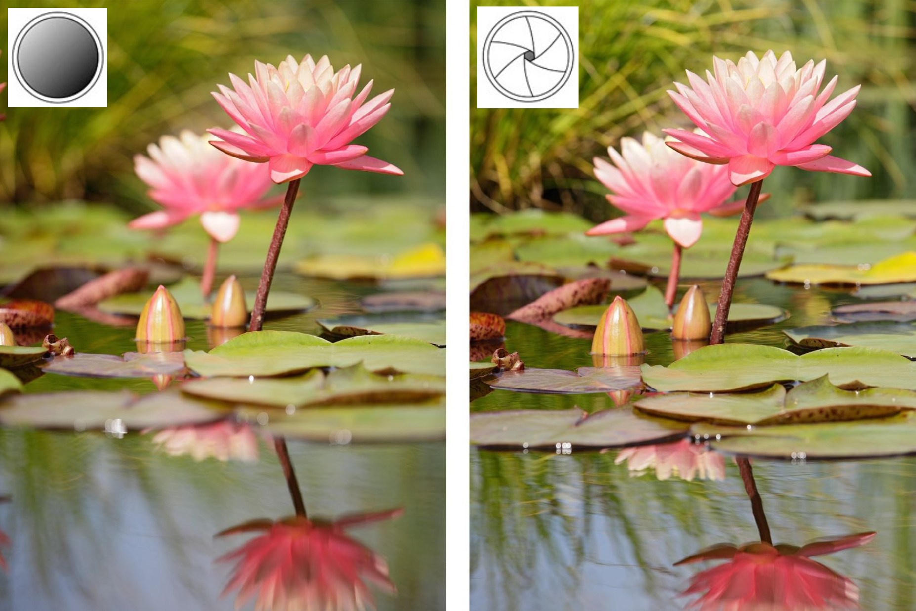 Дополнительные услуги. Попов.фото — Предметная фотостудия в Новой Москве