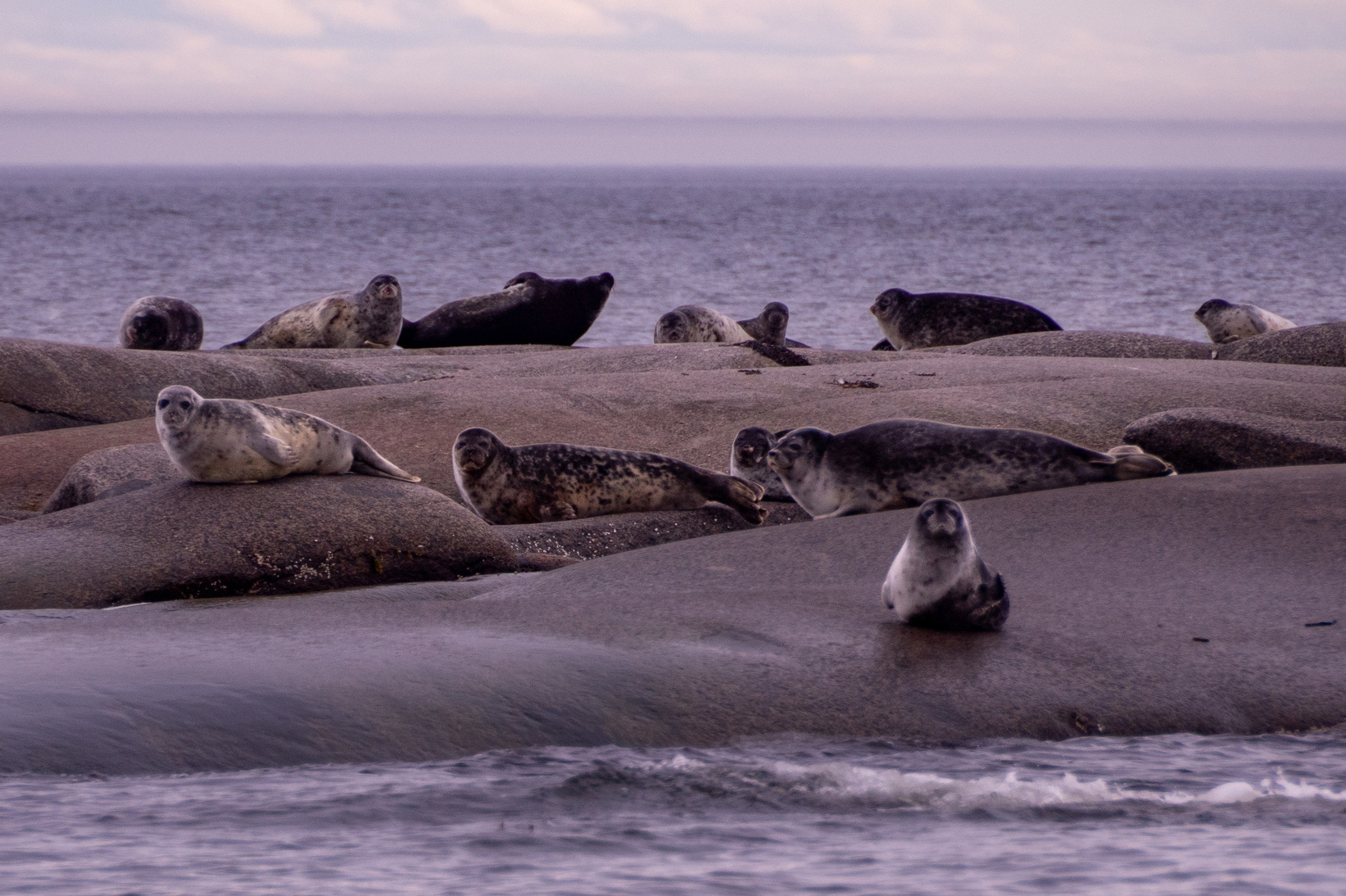 Фотопутешествие на Соловки. Фотограф Александр Головин
