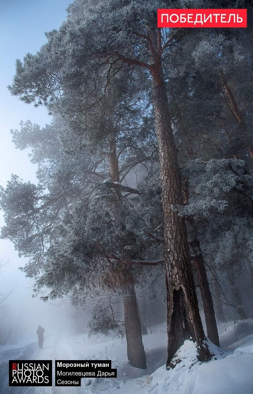 Новости. Главная