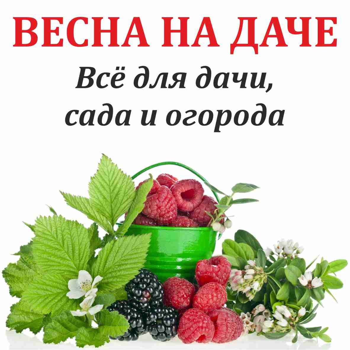 Выставки в Краснодаре 2023-2024 — информация. Блог «Добрый выставочник» — полезные советы, инструкции и рекомендации
